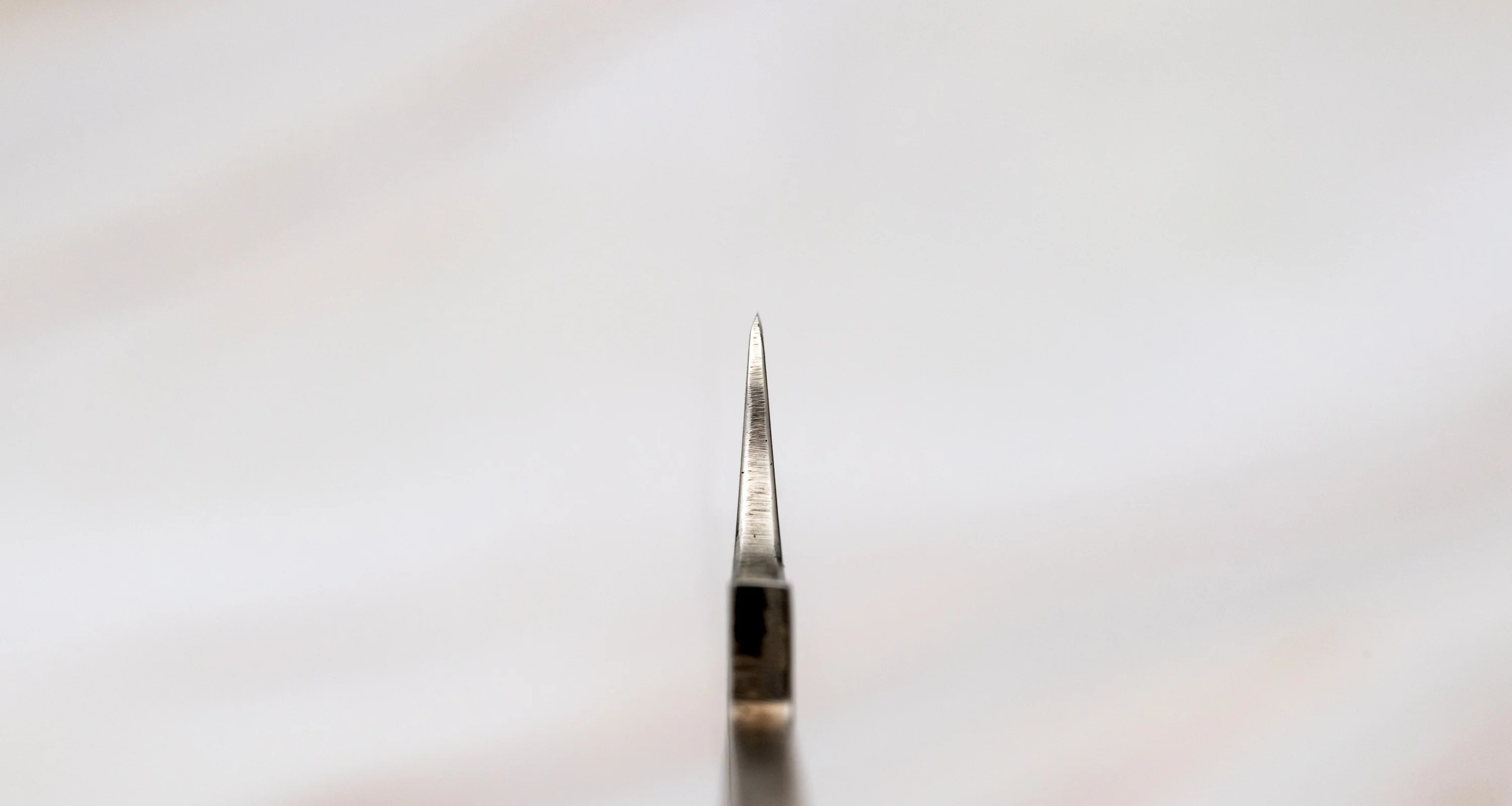 Aichi Burja - Prosciutto Knife 300mm (11.8") - BLADE - Image 3