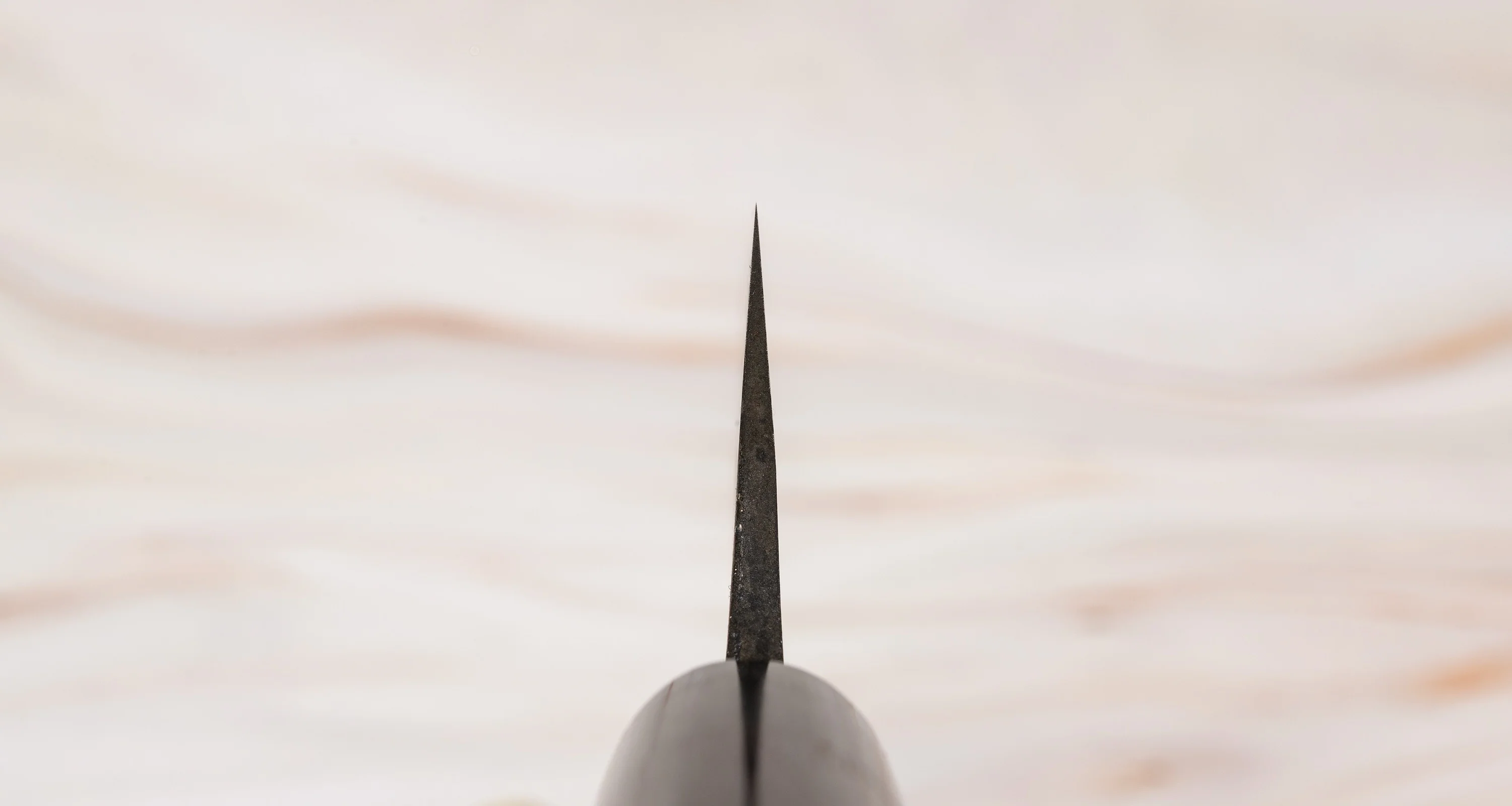 Anryu Gyuto Shirogami #1 Kuro-uchi 210mm (8.3") - Image 3