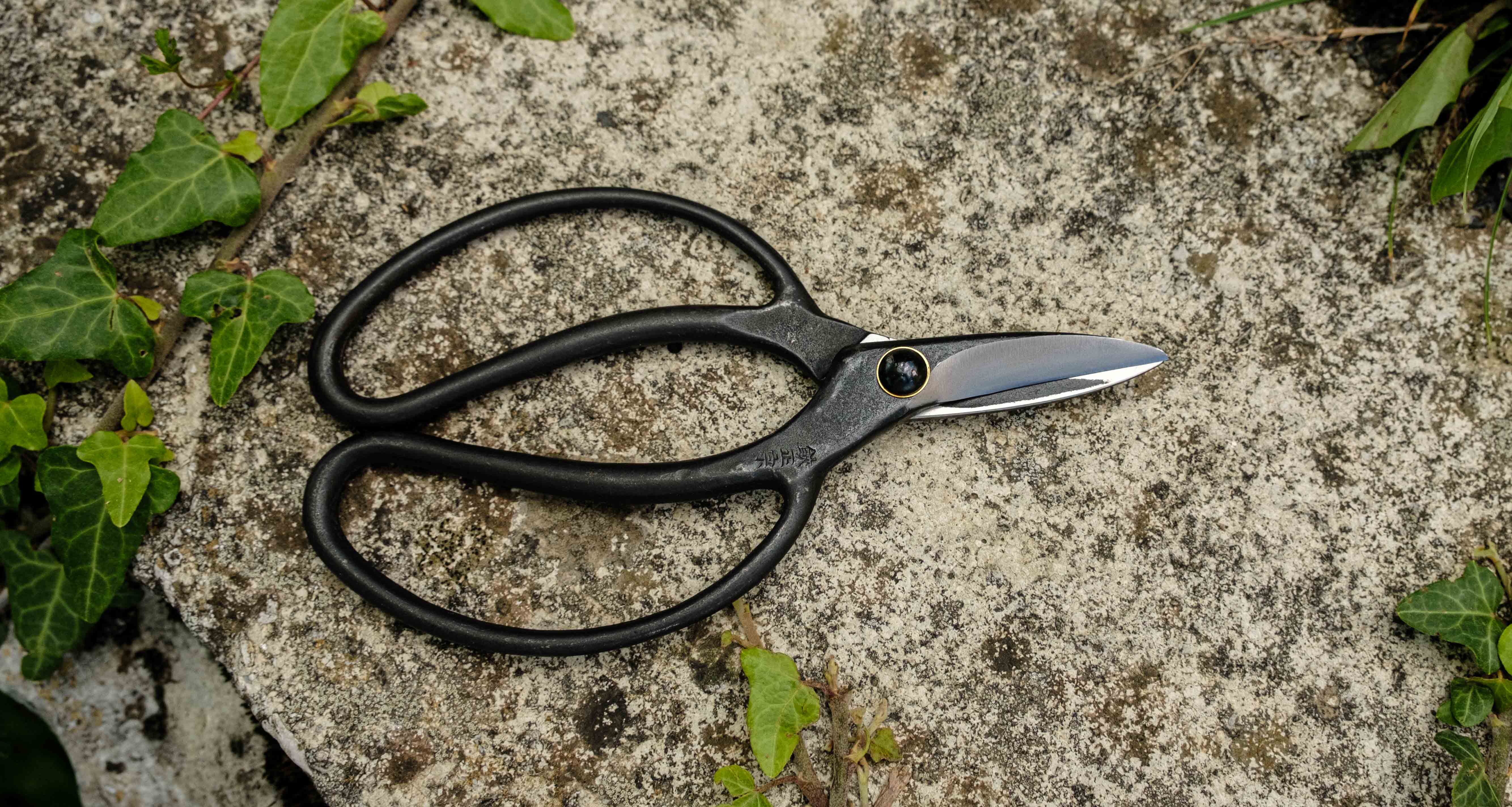 Bonsai Wakashishi Scissors Shirogami 195mm (7.7") - Image 3