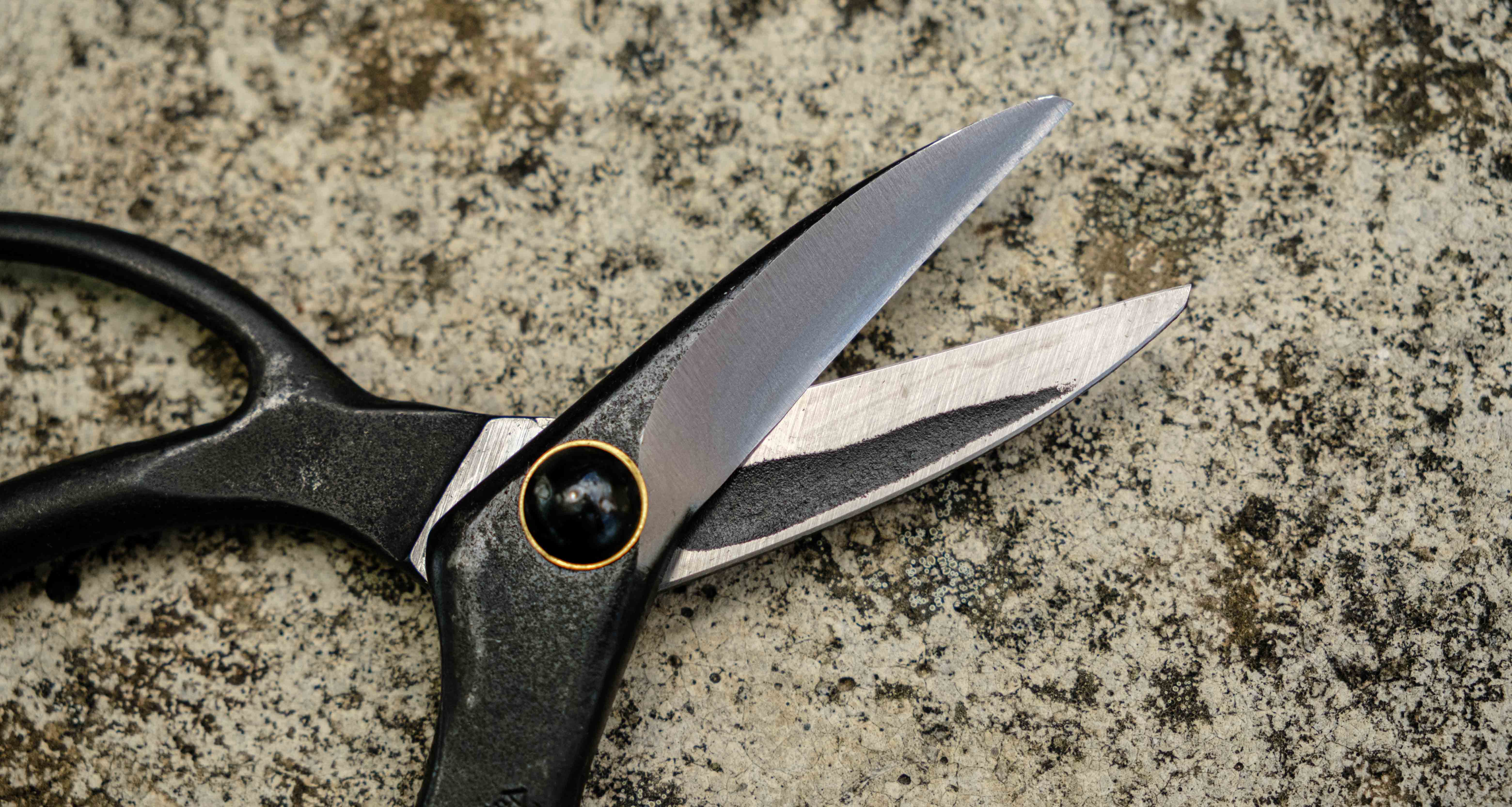 Bonsai Wakashishi Scissors Shirogami 195mm (7.7") - Image 4