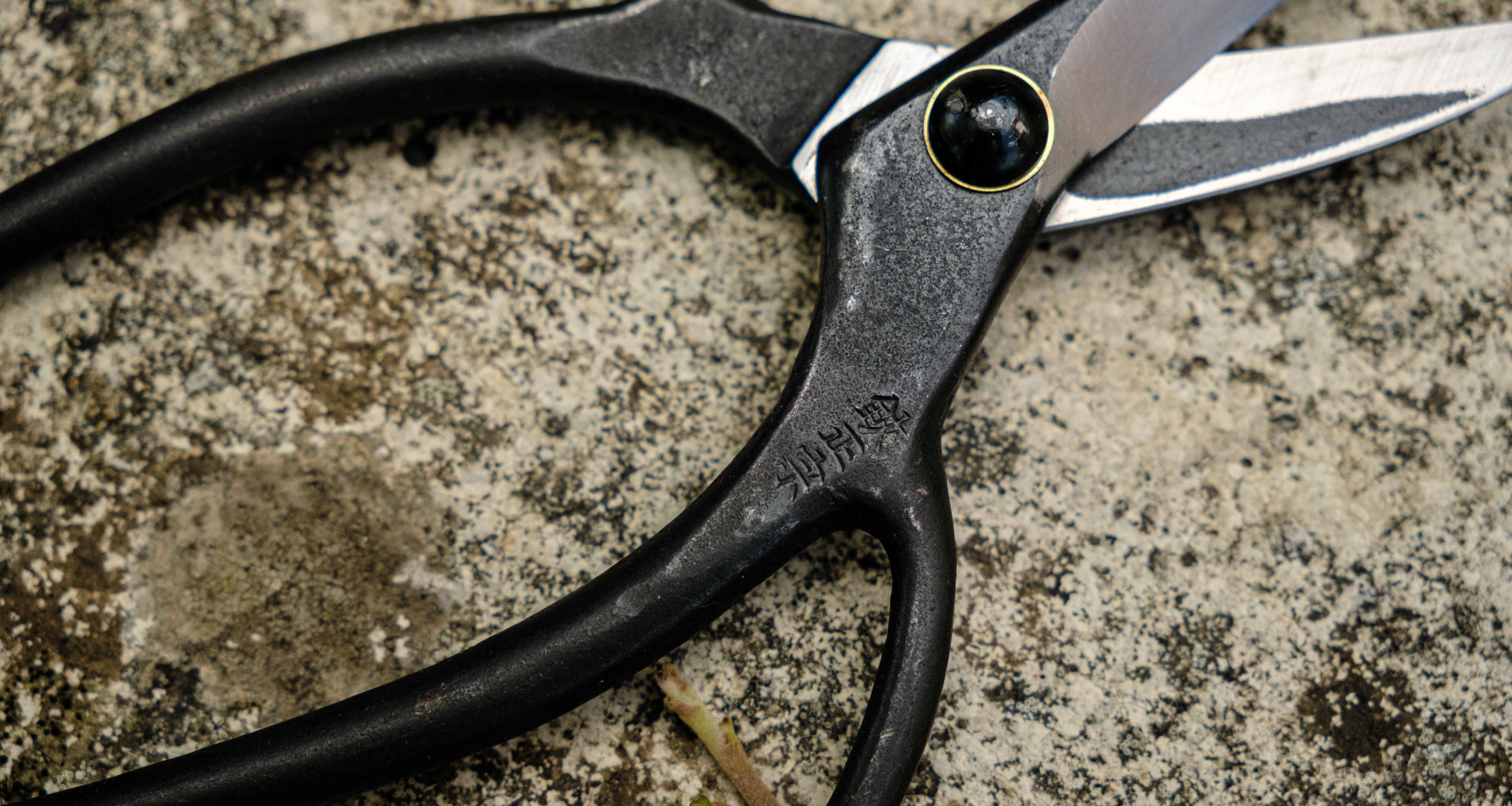 Bonsai Wakashishi Scissors Shirogami 195mm (7.7") - Image 5