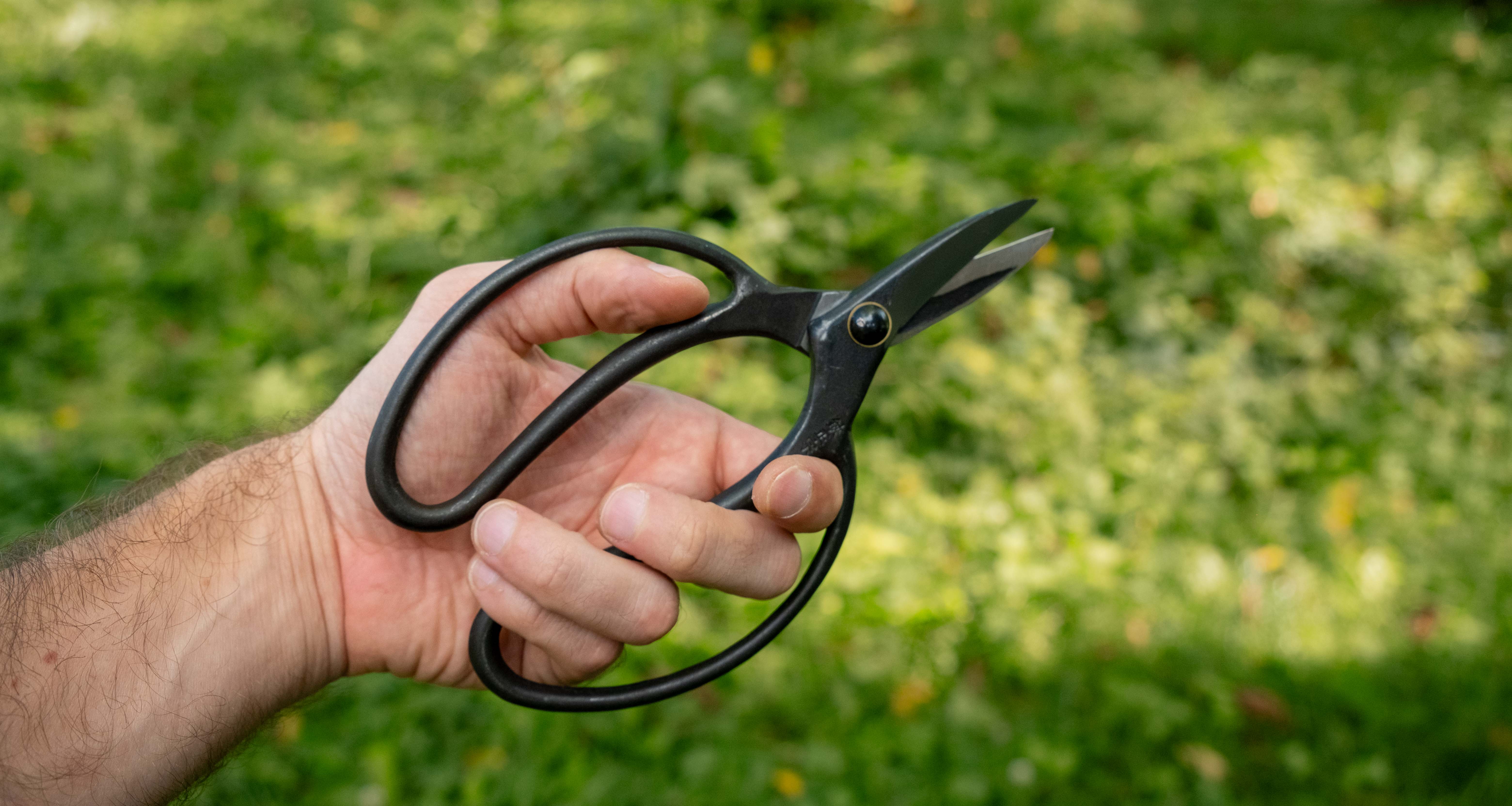 Bonsai Wakashishi Scissors Shirogami 195mm (7.7") - Image 6