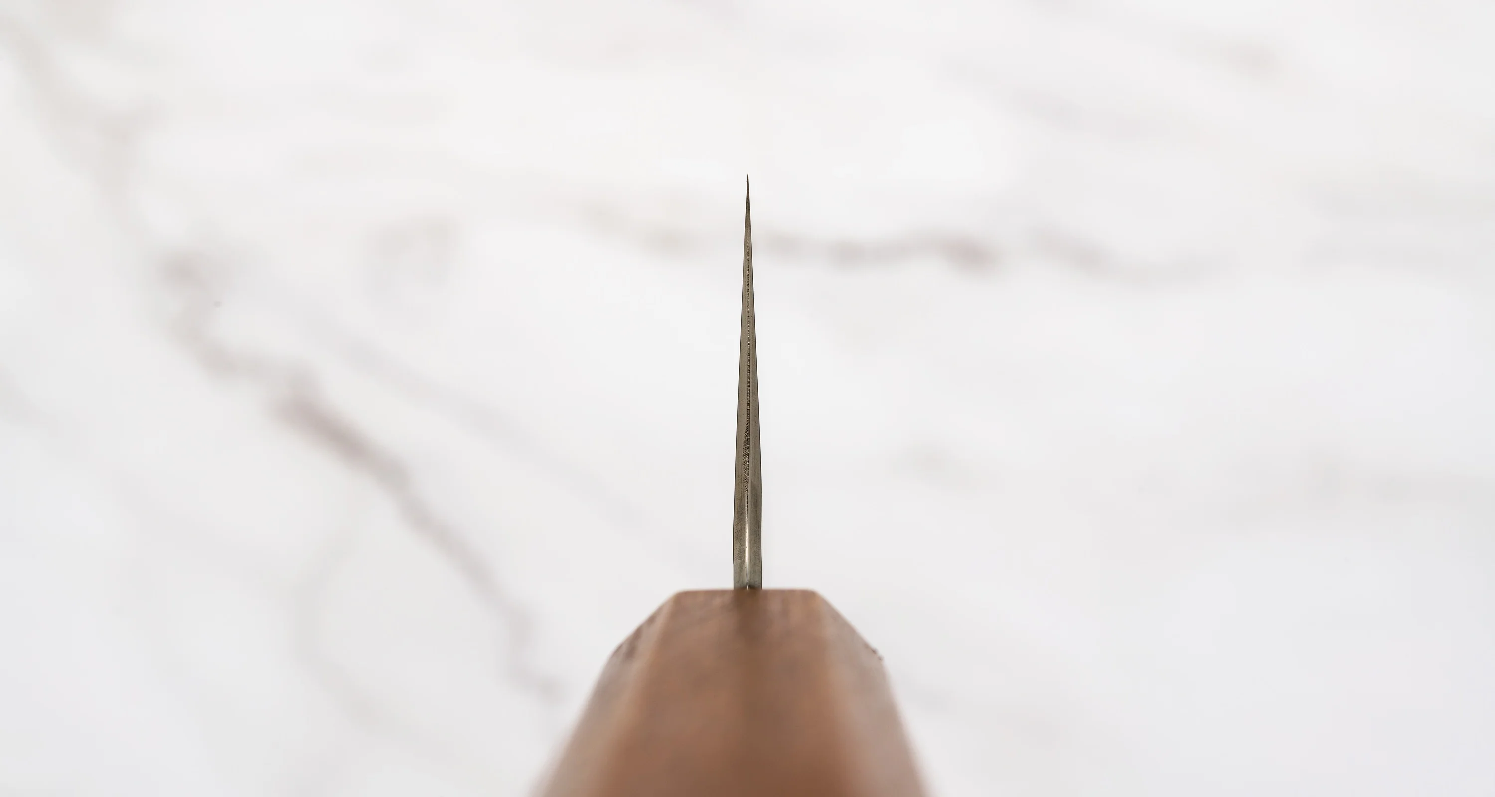 Hado Kiri-Gyuto SG2 Shiosai Urushi 210mm (8.3") - Image 3