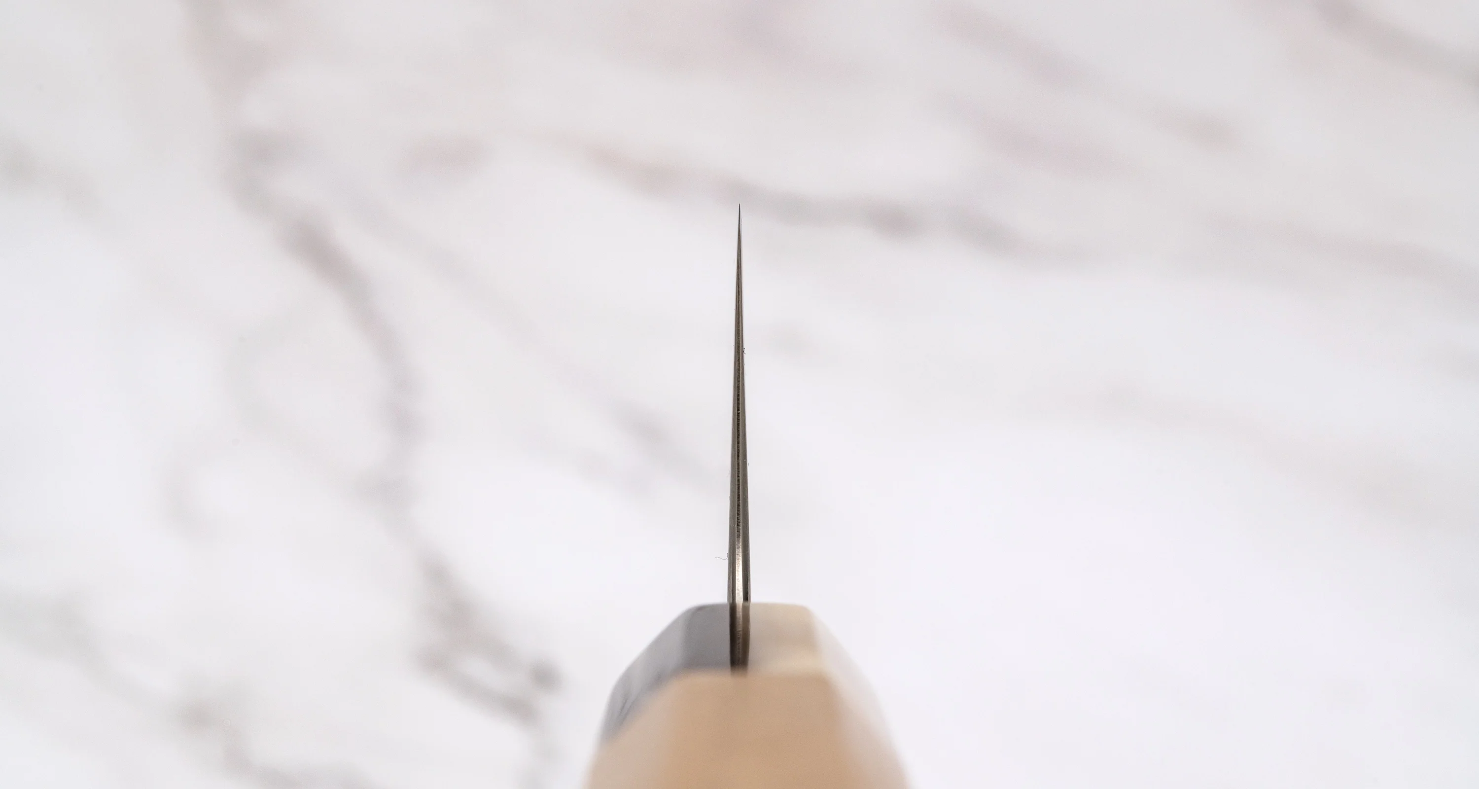 Hokiyama Gyuto Aogami Super Wa Blond Buffalo 210mm (8.2") - Image 3