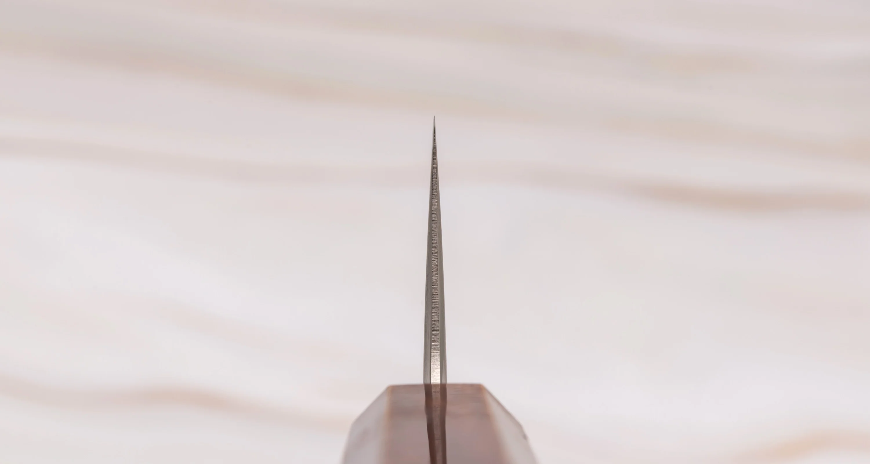 Hokiyama Gyuto SRS13 Migaki 210mm (8.3") [Oak] - Image 3