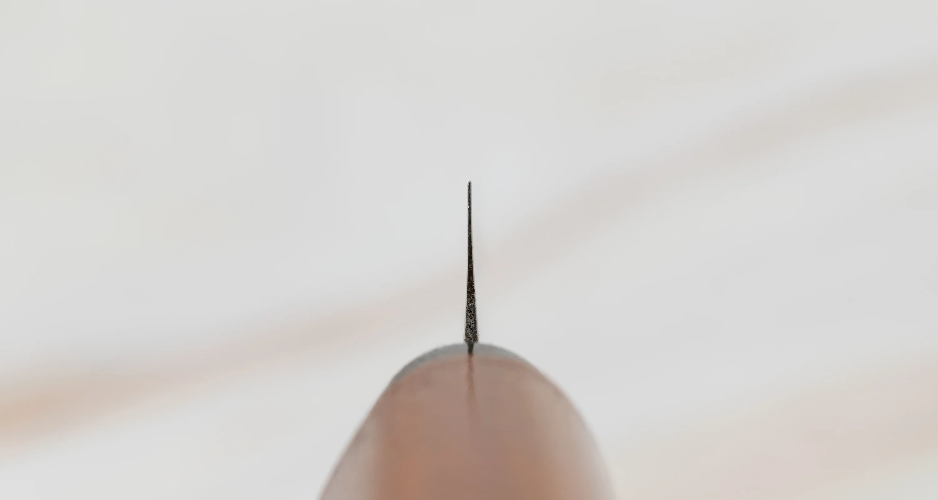 Kai Shun Fruit Knife with sheath - Image 4