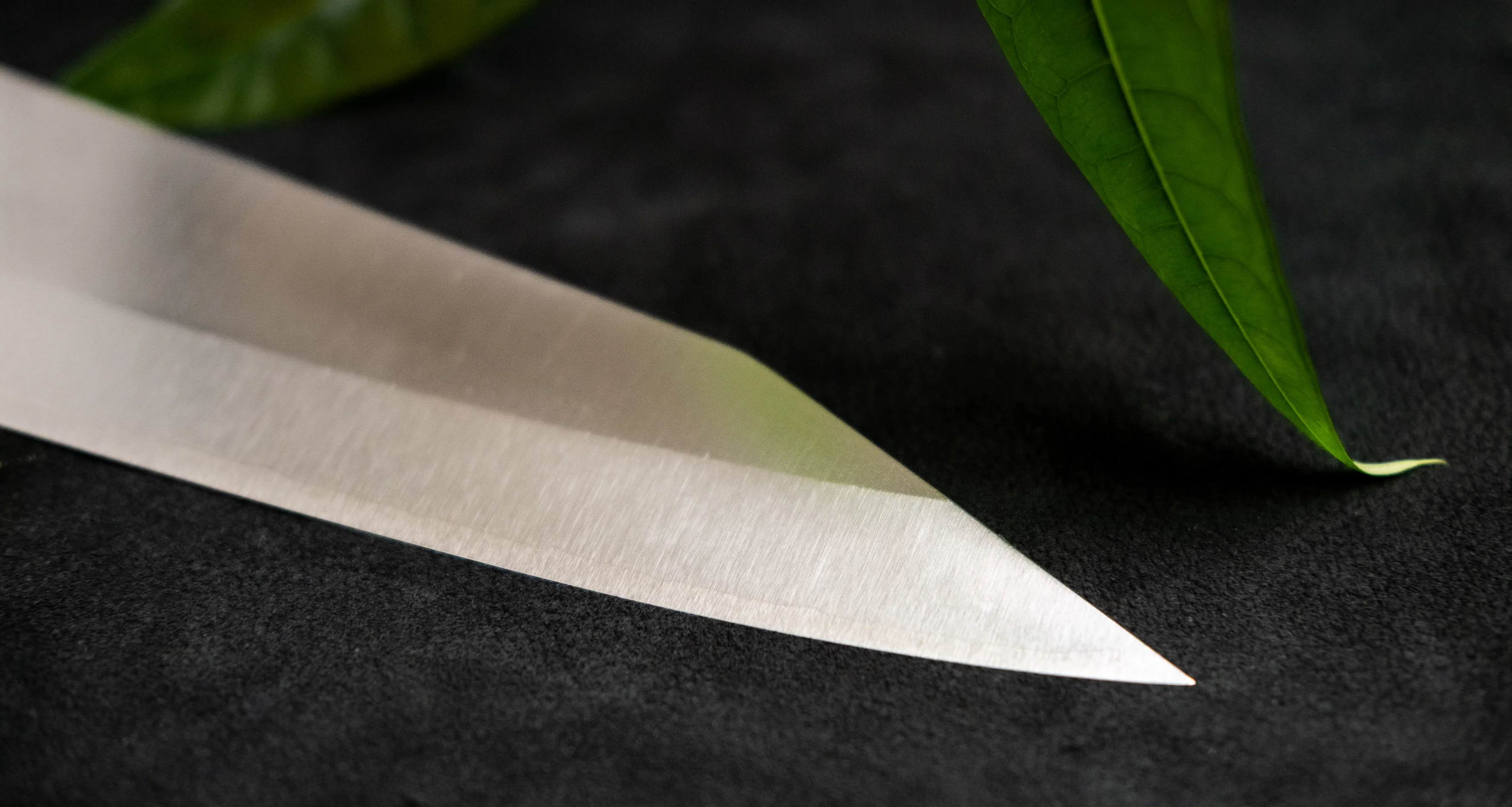 Yu Kurosaki Gyuto Gekko VG-XEOS Migaki 210mm (8.3") - Image 5