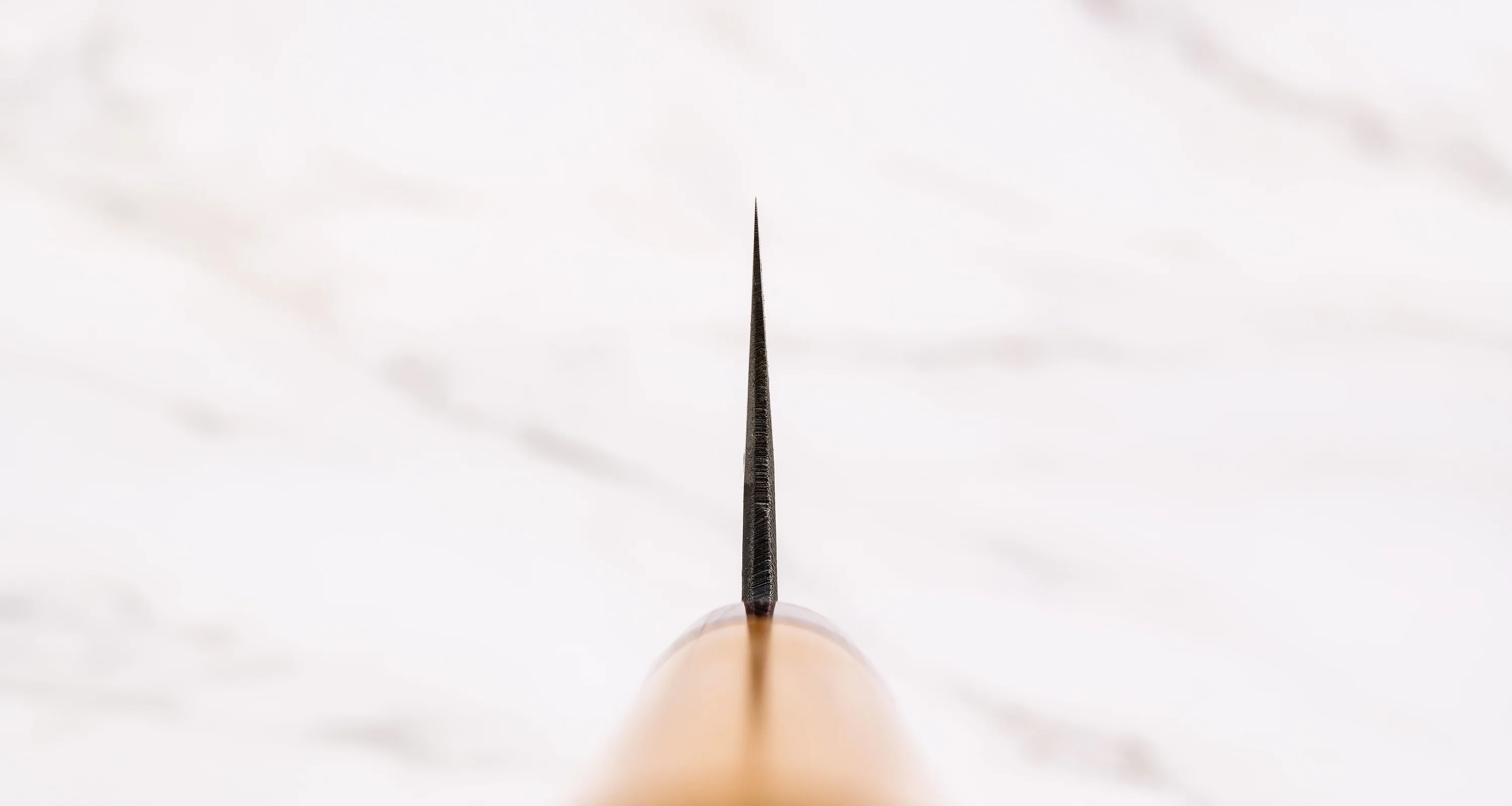 Muneishi Gyuto Aogami #2 Kuro-uchi Cherry 210mm (8.3") - Image 3