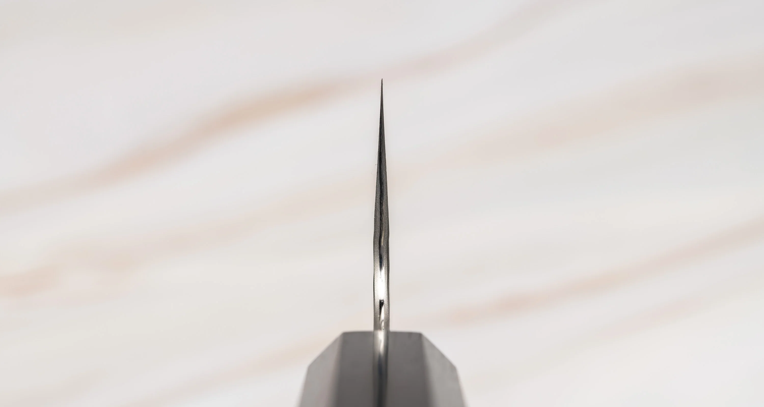 Nigara Gyuto VG-10 Damascus Tsuchime 210mm (8.2") - Image 3