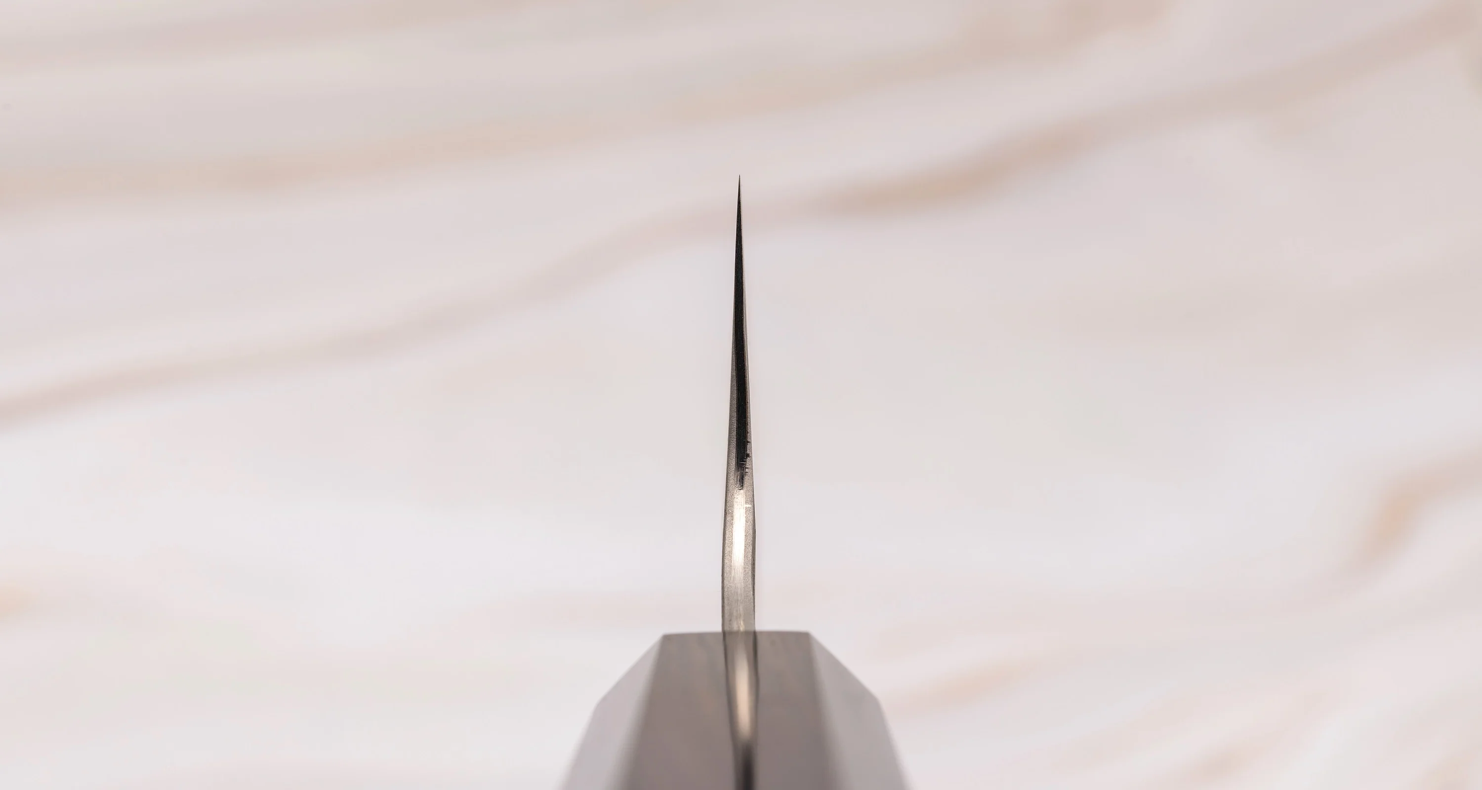 Nigara Kiri-Gyuto Aogami Super Migaki Tsuchime 210mm (8.2") - Image 3
