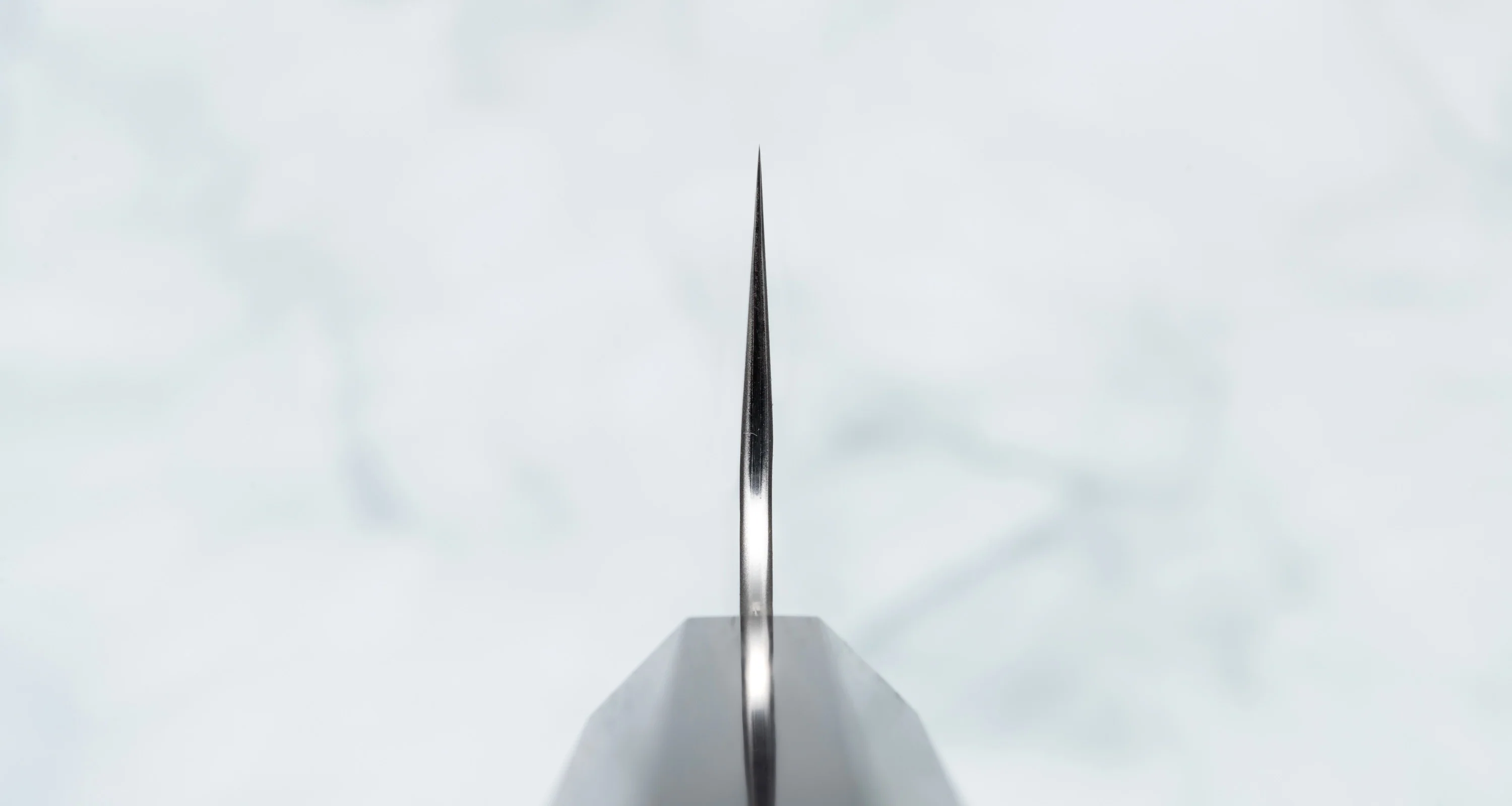 Nigara Kiritsuke-Gyuto SG2 Tsuchime Wa Ebony 240mm (9.4") - Image 3