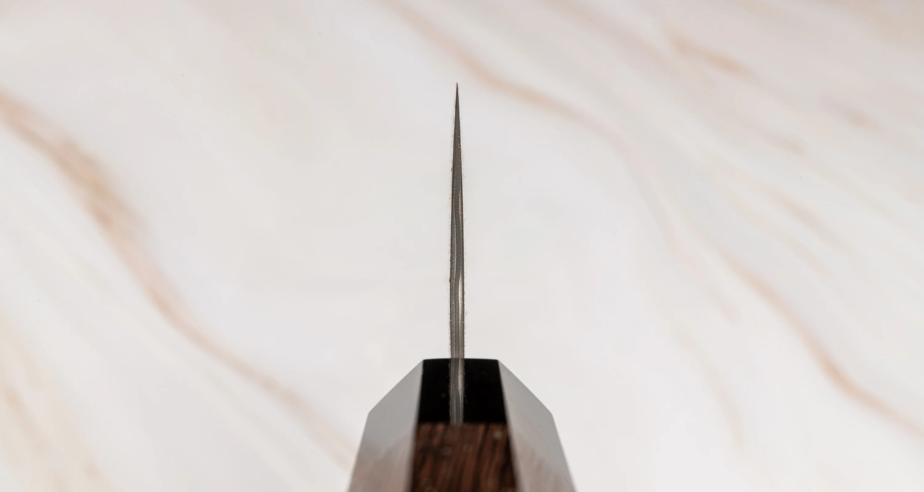 Nigara Kiritsuke SG2 Damascus 270mm (10.6") - Image 3