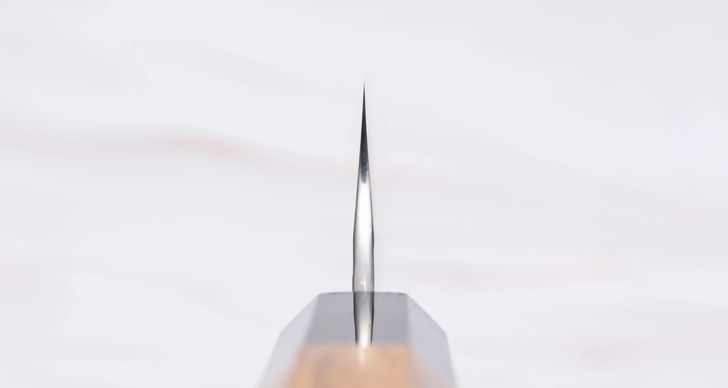 Nigara Kiritsuke-Sujihiki SG2 Tsuchime Wa 255mm (10") - Image 3