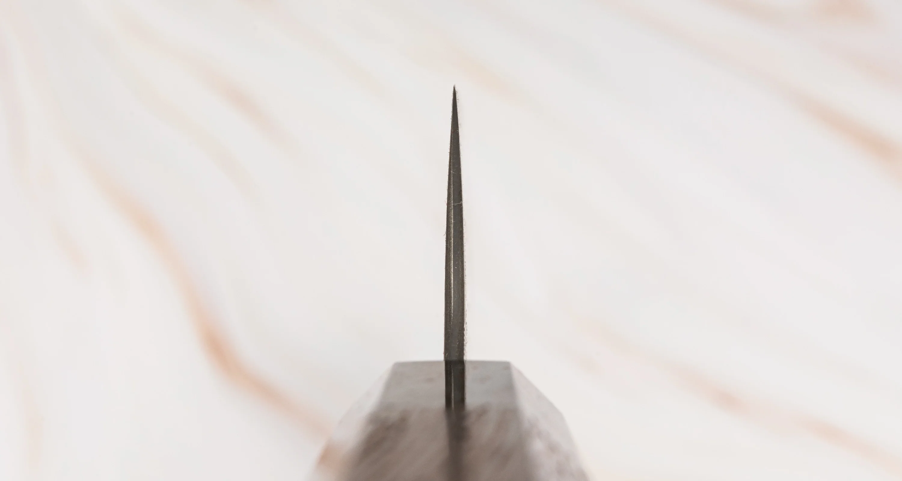 Nigara Sakimaru Sujihiki SG2 Damascus 300mm (11.8") - Image 3