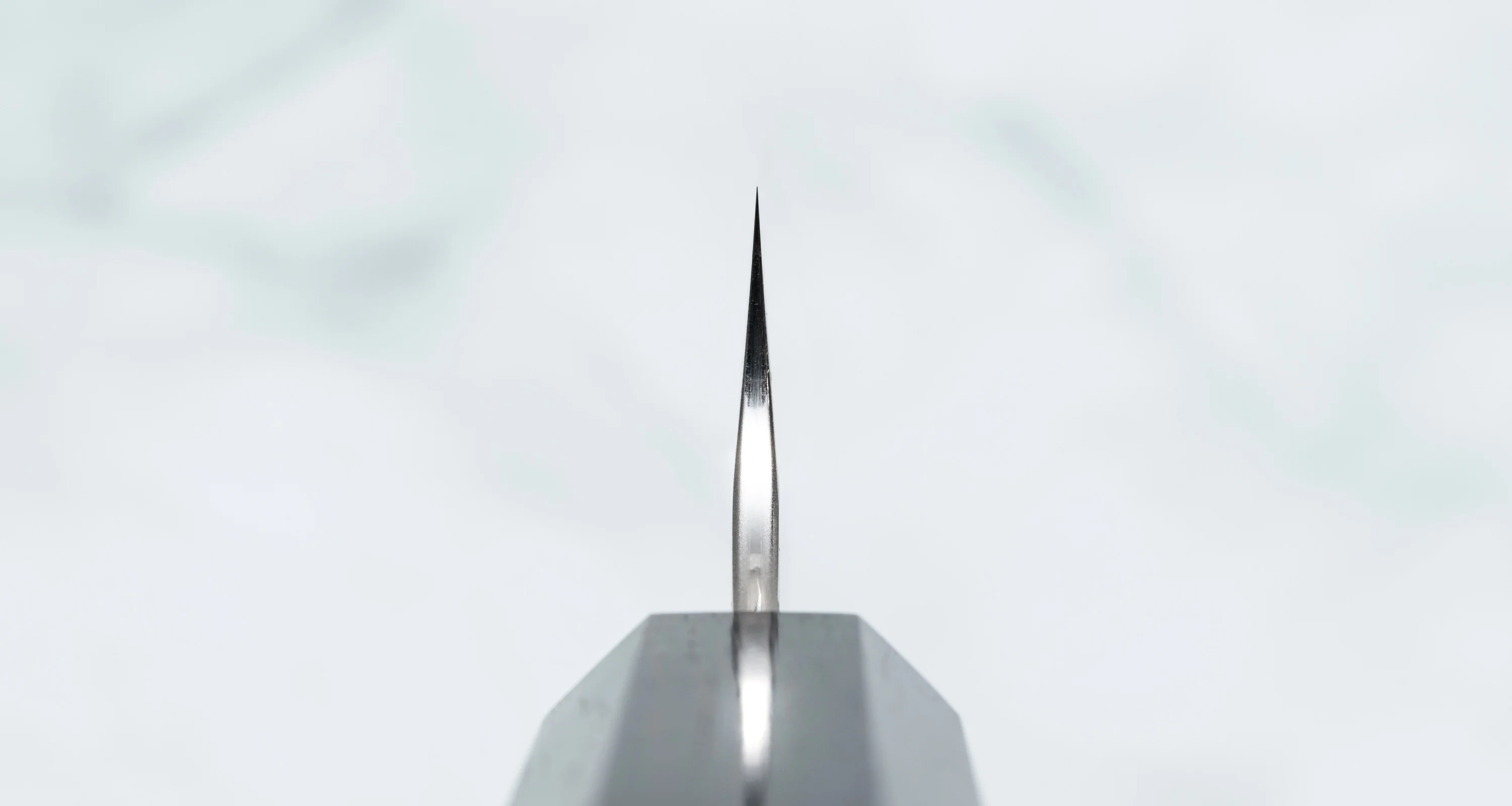 Nigara Sujihiki SG2 Tsuchime Wa Ebony 240mm (9.4") - Image 3