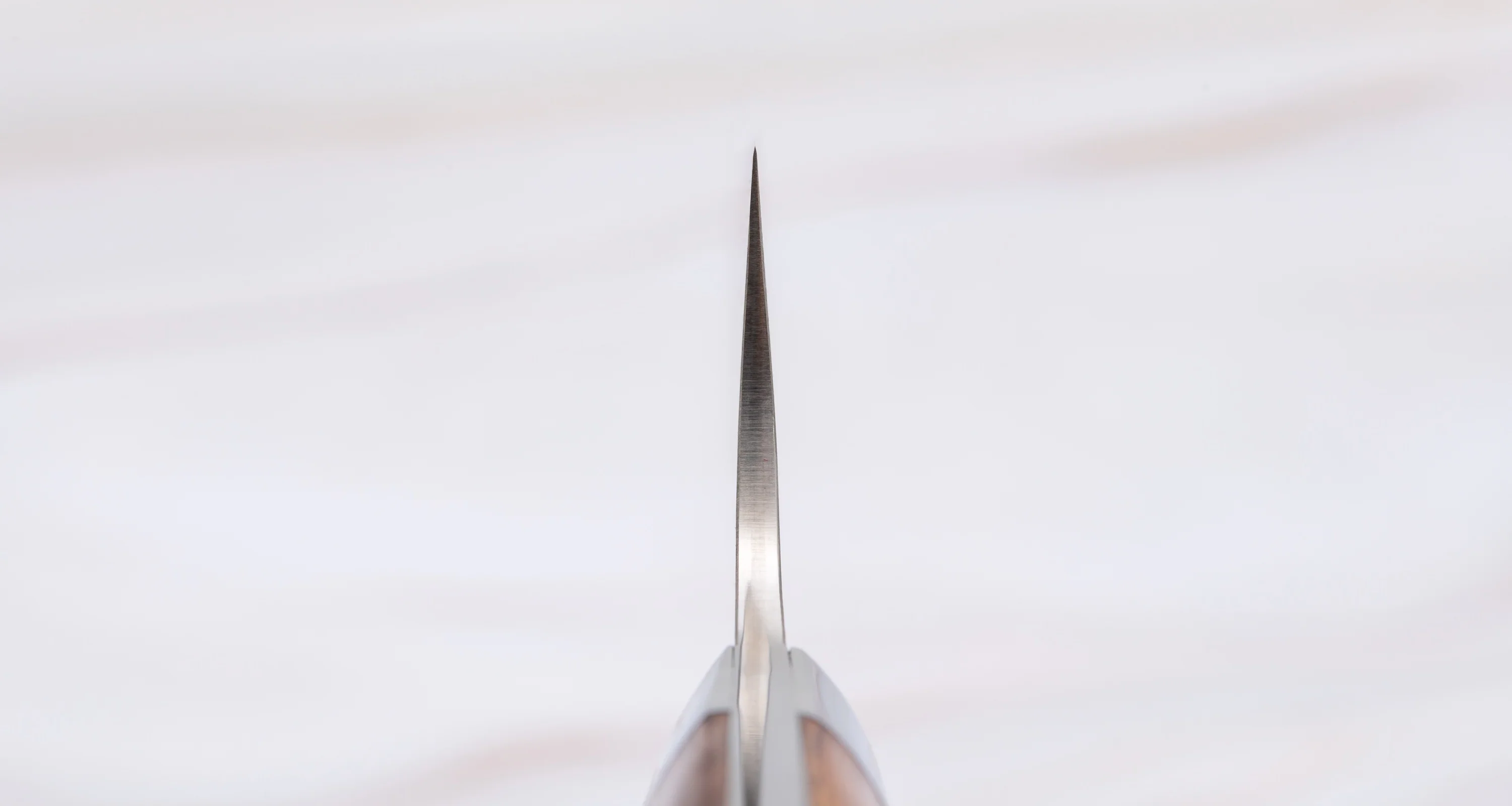Saji Gyuto R2 Ironwood 180mm (7.1") - Image 3
