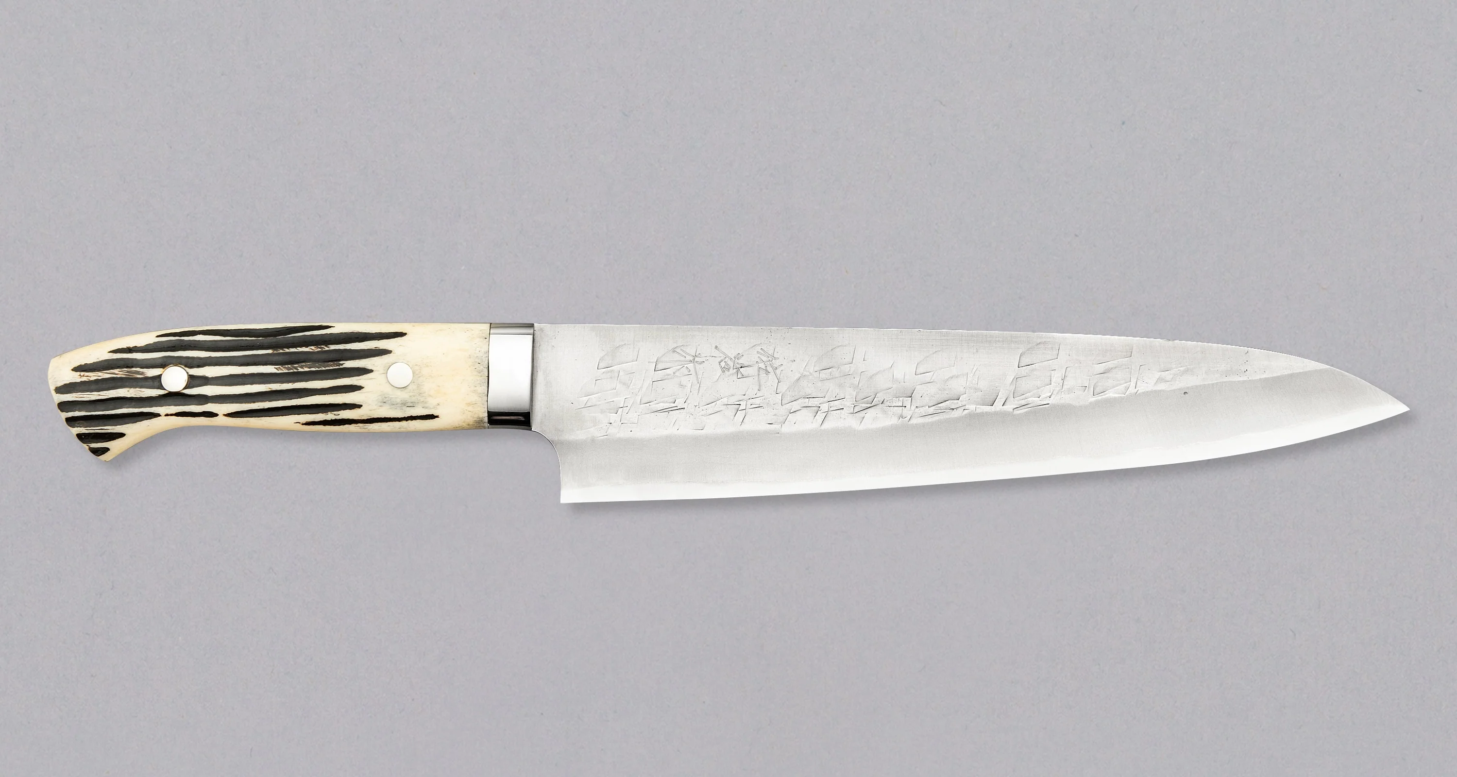 Saji Gyuto SRS13 Stag Antler 240mm (9.4")