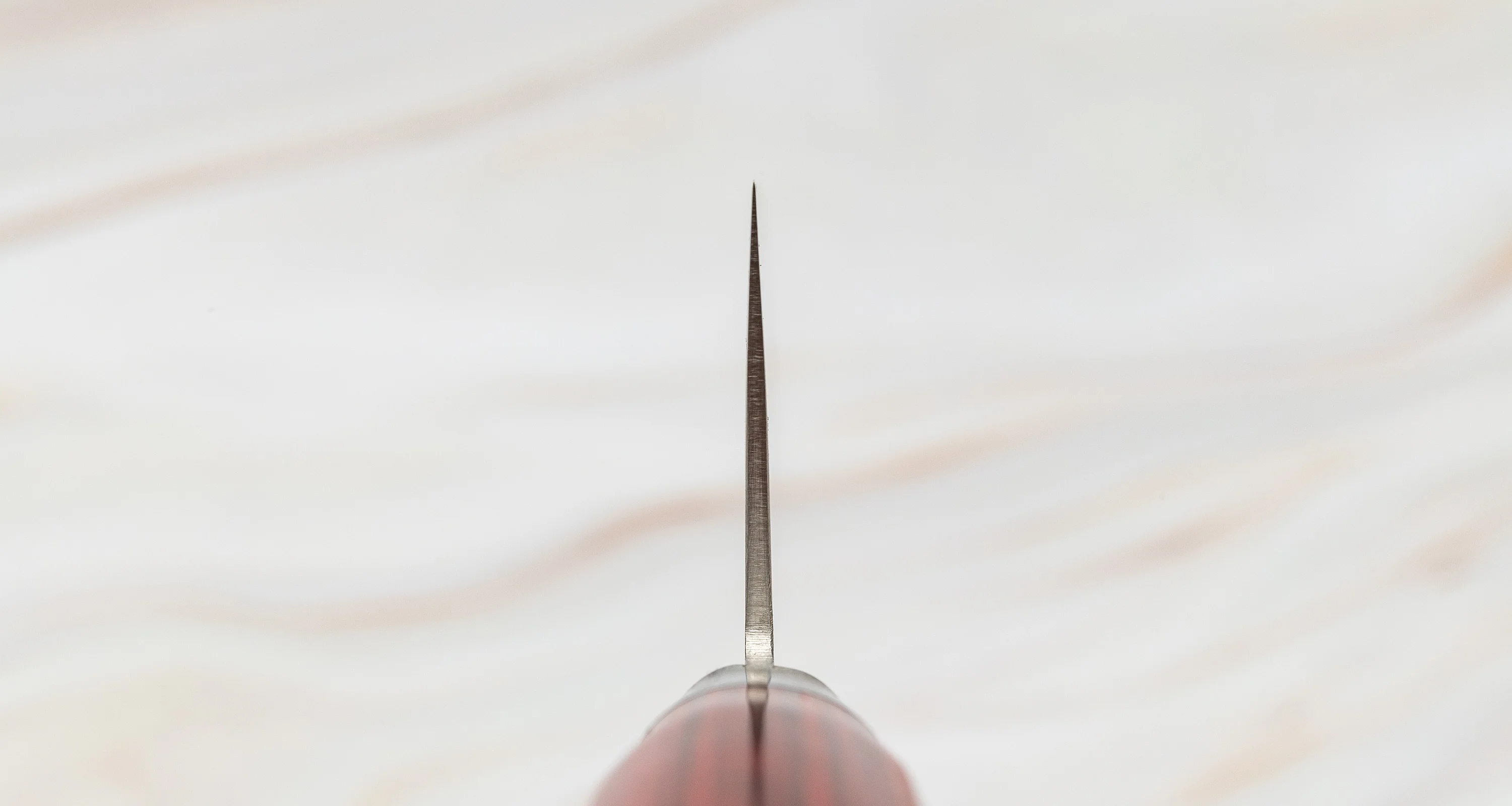 Seki Kotetsu Gyuto VG-10 Migaki 200mm (7.9") [red pakkawood] - Image 5