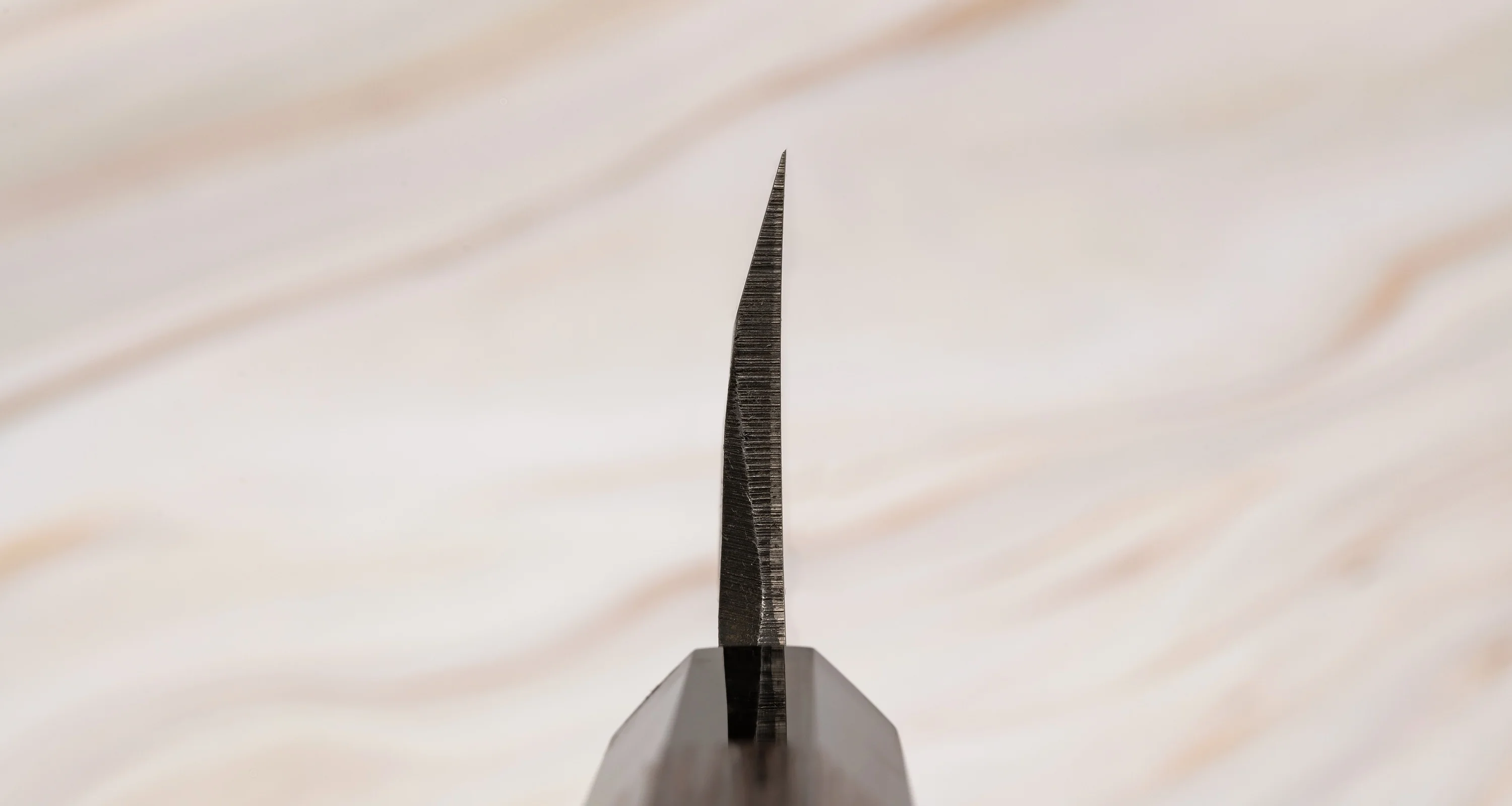 Shirasagi Deba Aogami #2 Tsuchime Kuro-uchi 180mm (7.1") - Image 3