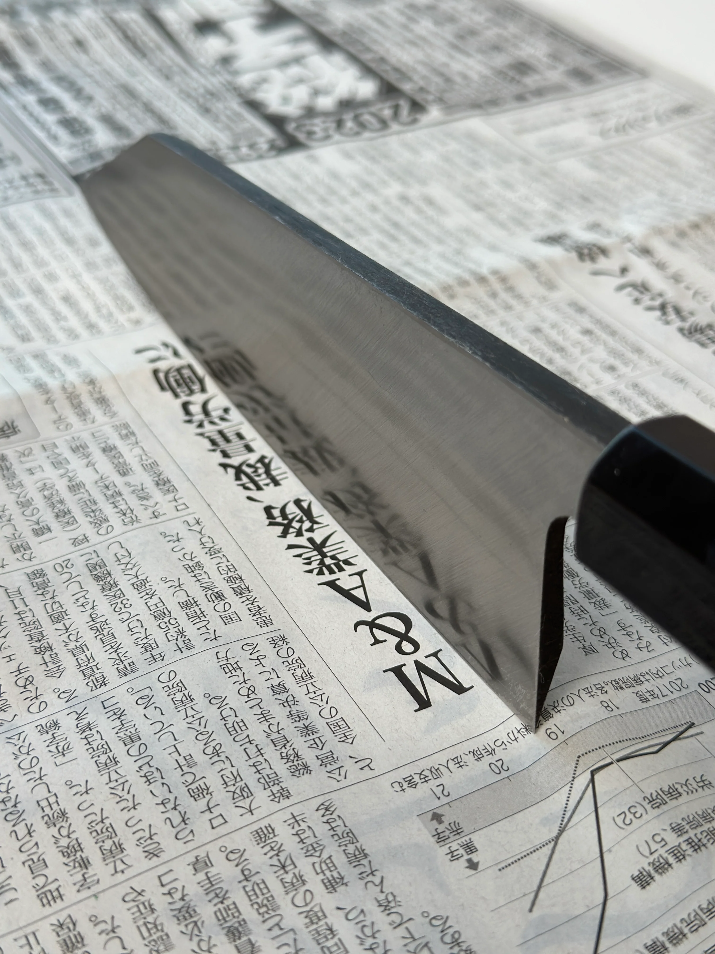 Shirasagi Kiritsuke Deba Aogami #2 Kuro-uchi 180mm (7.1") - Image 3