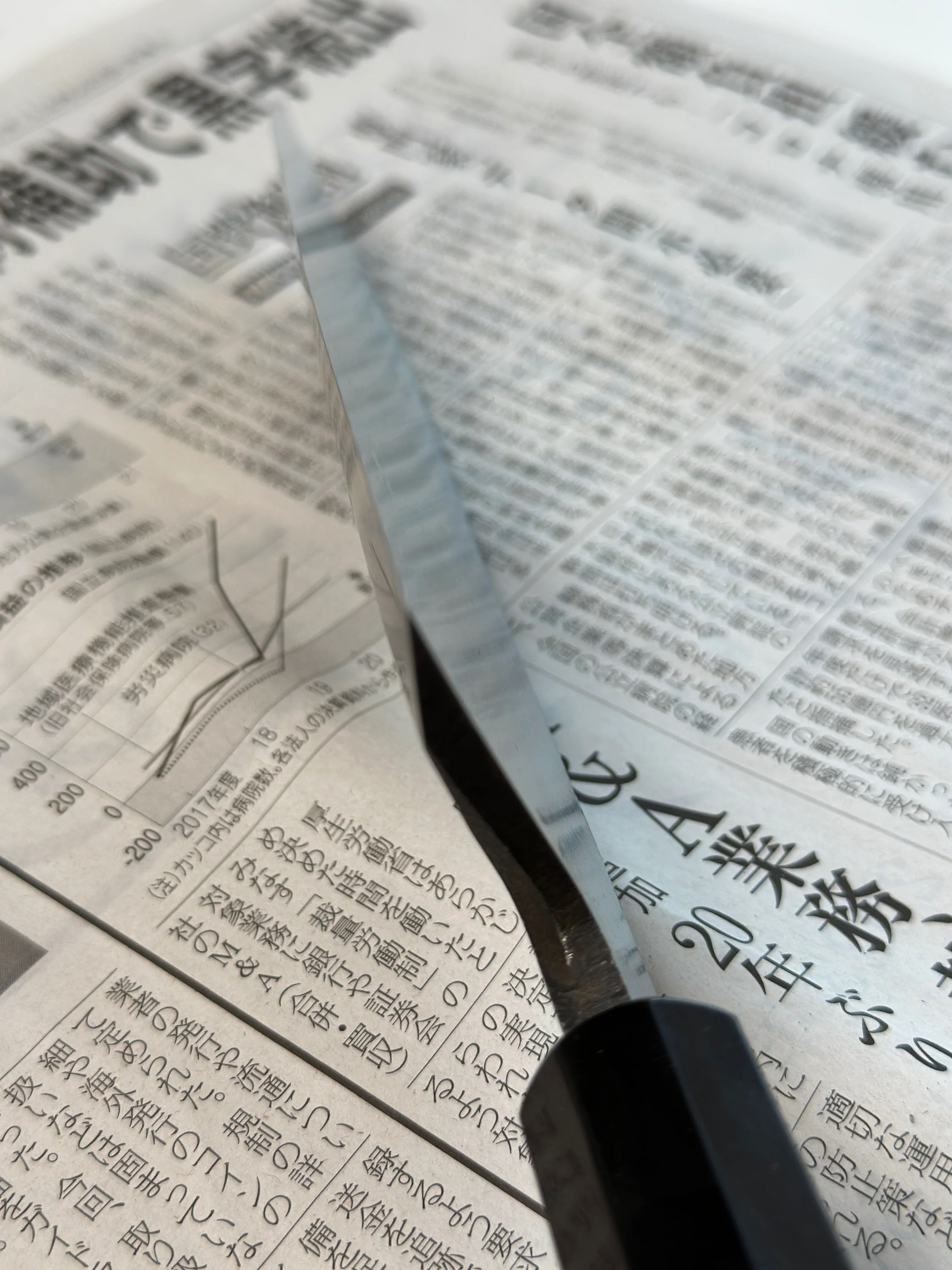 Shirasagi Kiritsuke Deba Aogami #2 Kuro-uchi 180mm (7.1") - Image 4