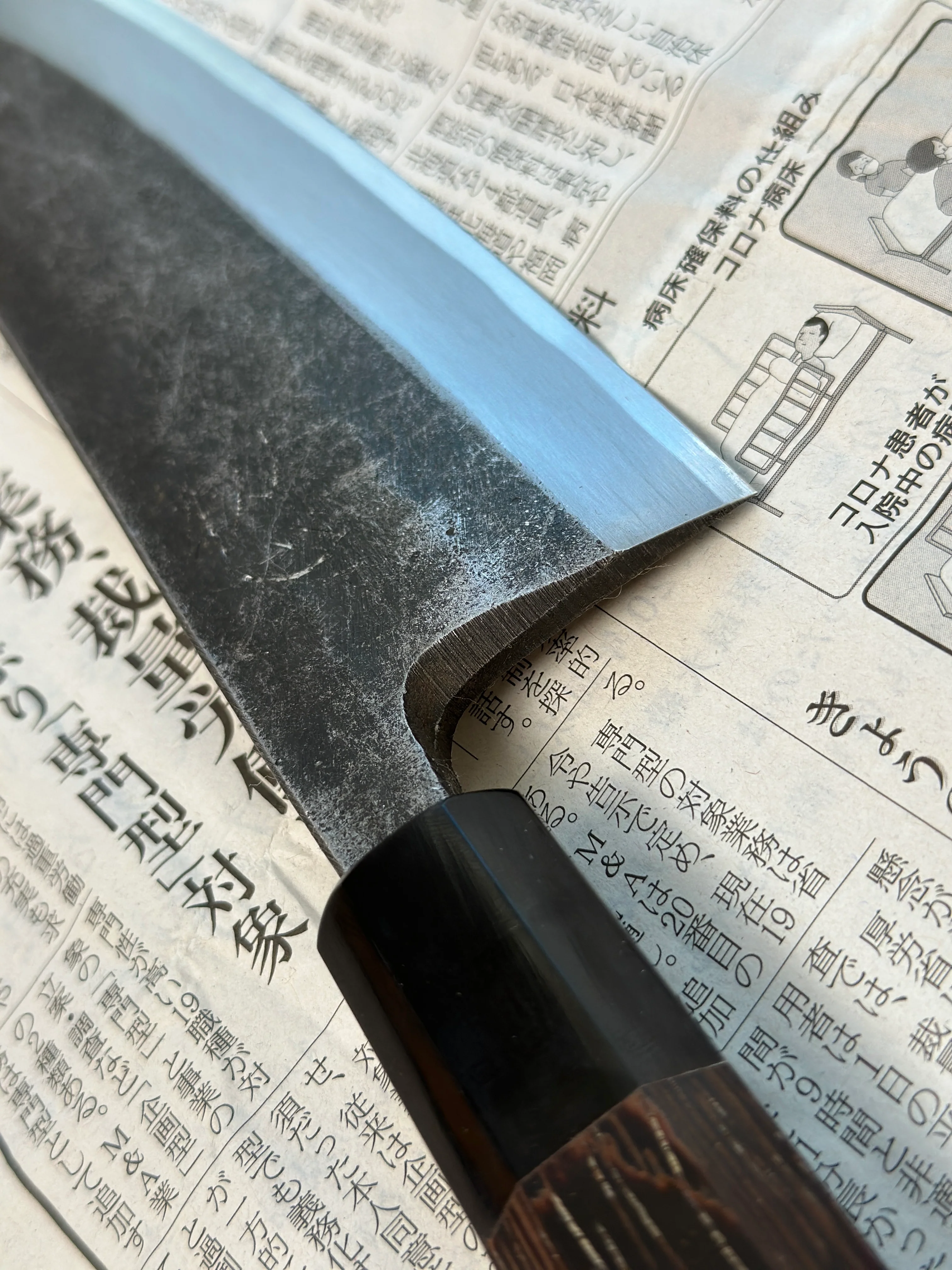 Shirasagi Kiritsuke Deba Aogami #2 Kuro-uchi 180mm (7.1") - Image 7