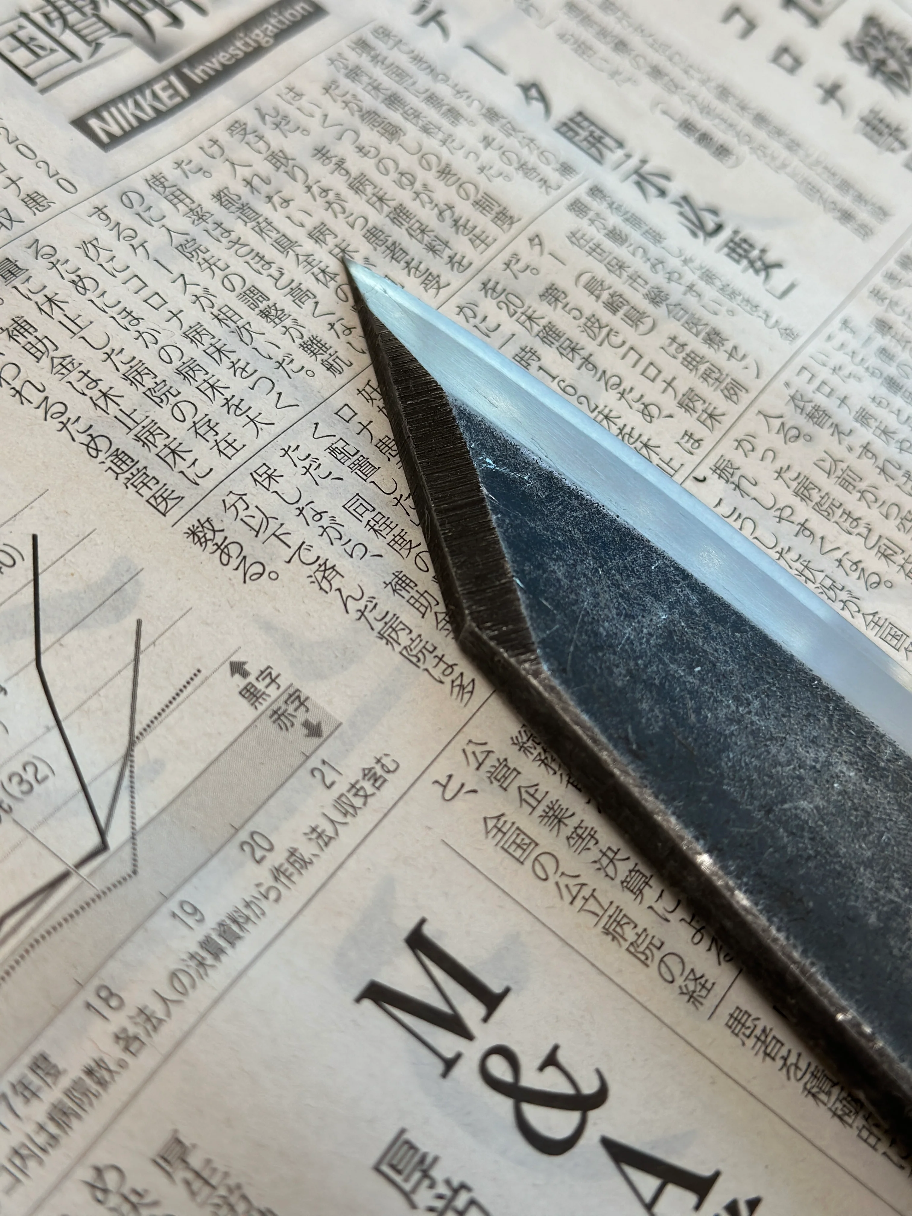 Shirasagi Kiritsuke Deba Aogami #2 Kuro-uchi 180mm (7.1") - Image 8