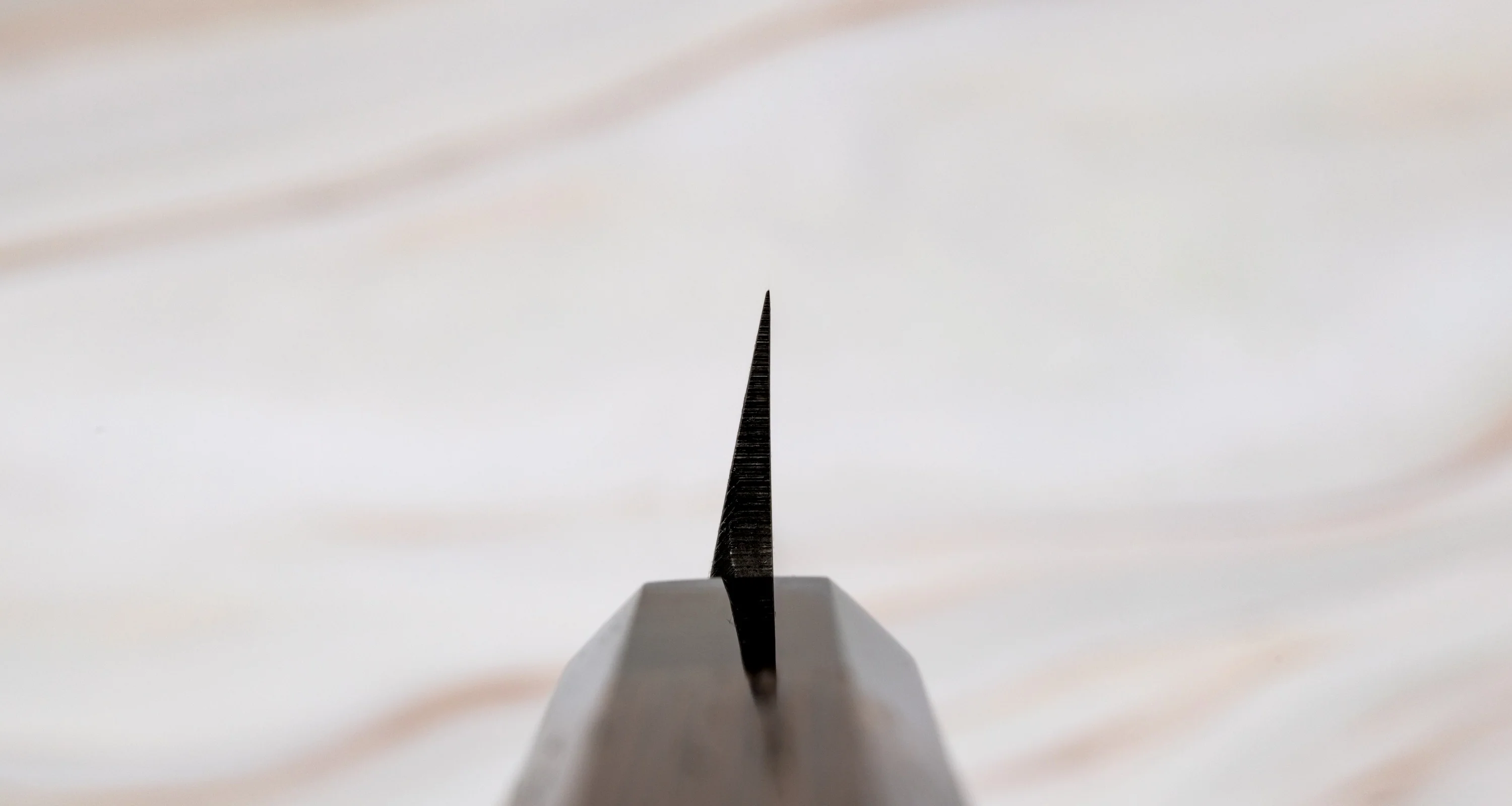 Shirasagi Kiritsuke Yanagiba Aogami #2 Kuro-uchi 240mm (9.4") - Image 3