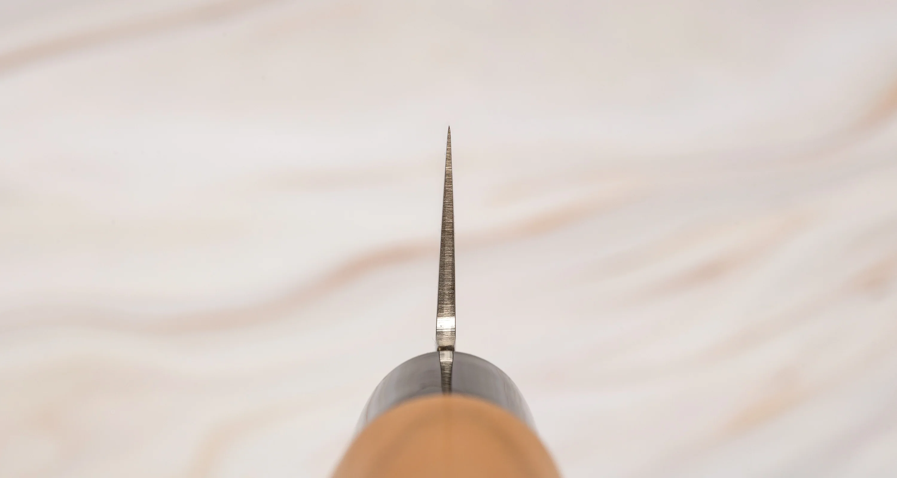 Tojiro Gyuto Ouran 210mm (8.3") - Image 3