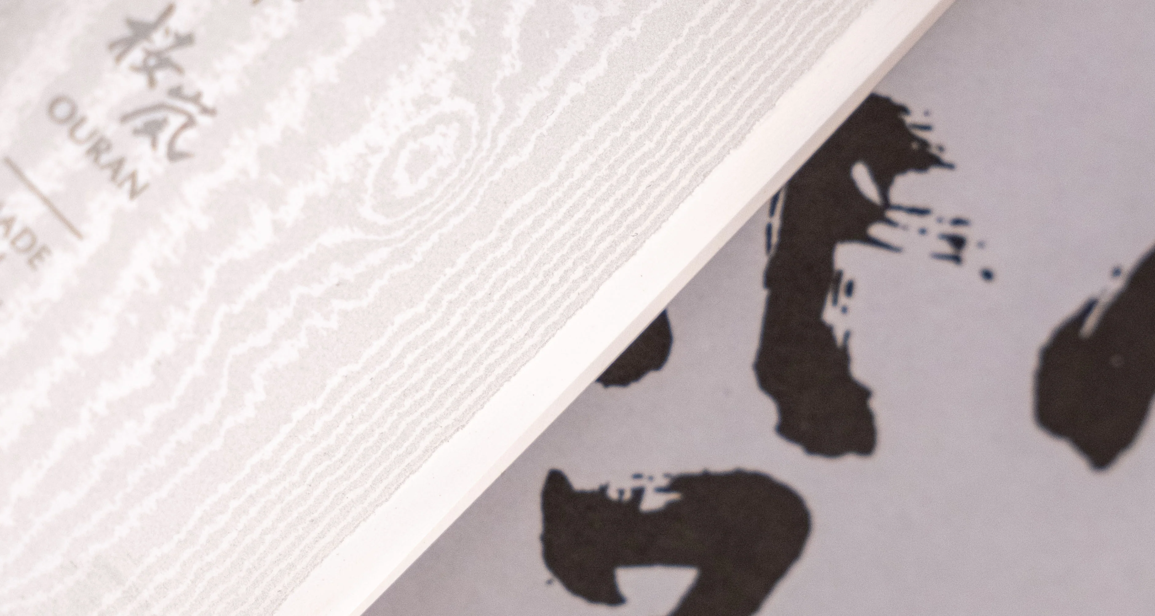 Tojiro Gyuto Ouran 210mm (8.3") - Image 5