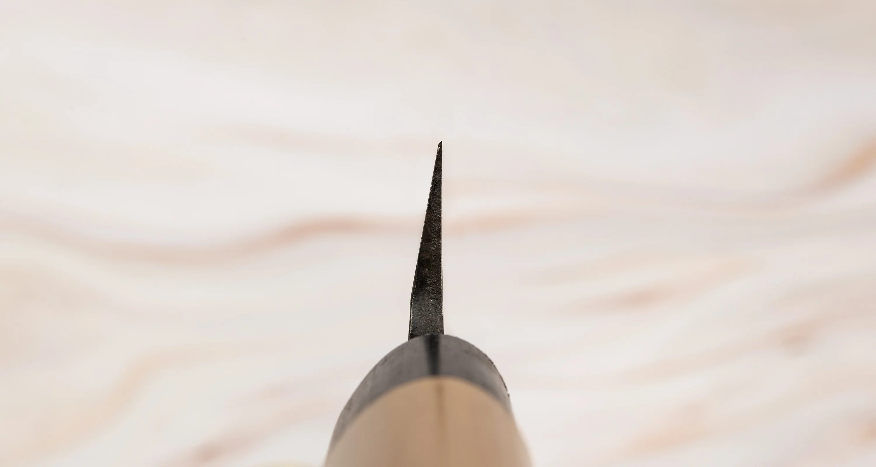 Tojiro Yanagiba Shirogami Tsuchime Kuro-uchi 270mm (10.6") - Image 3