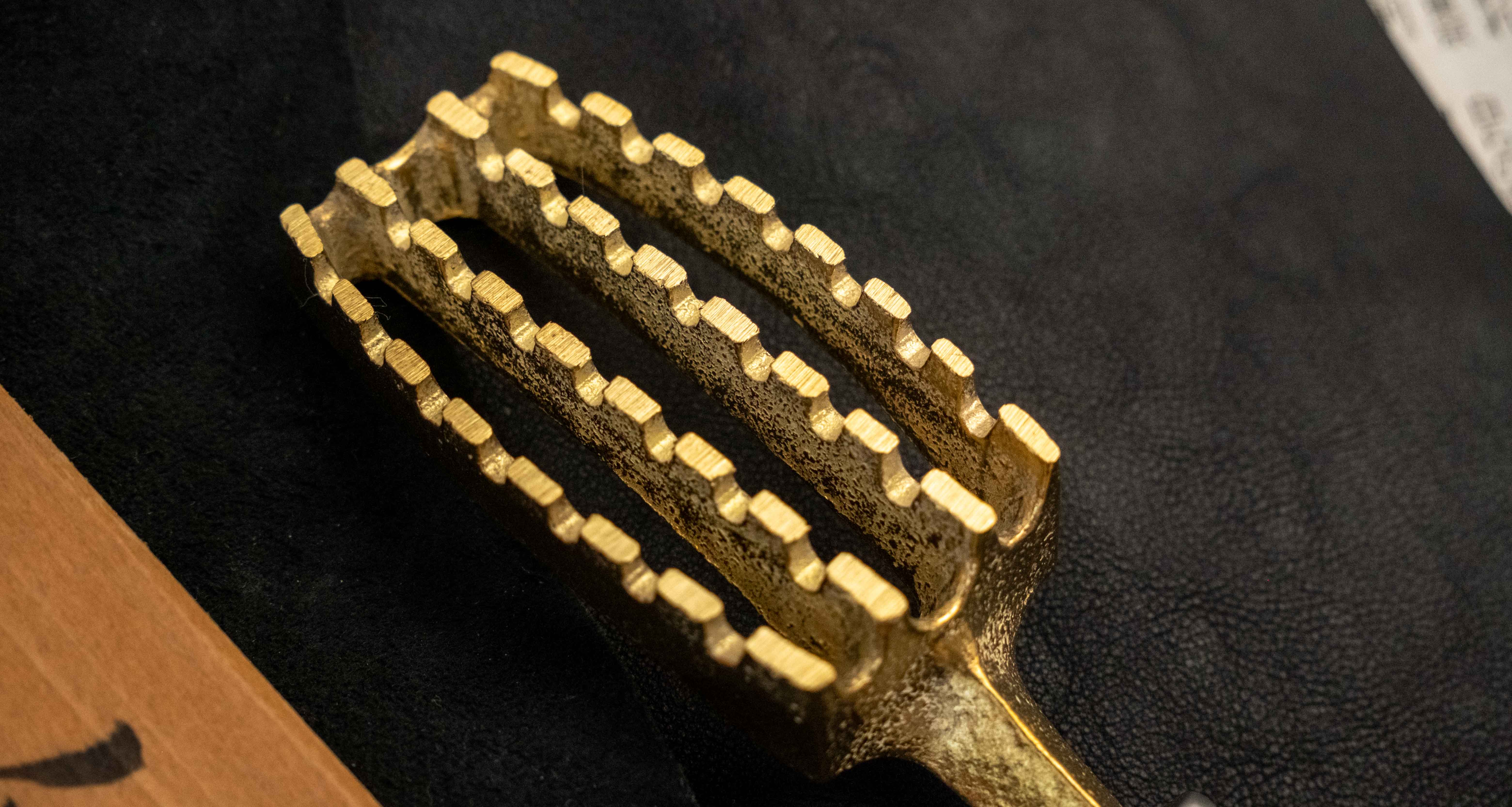 Tsunehisa Fish Scaler - Image 4
