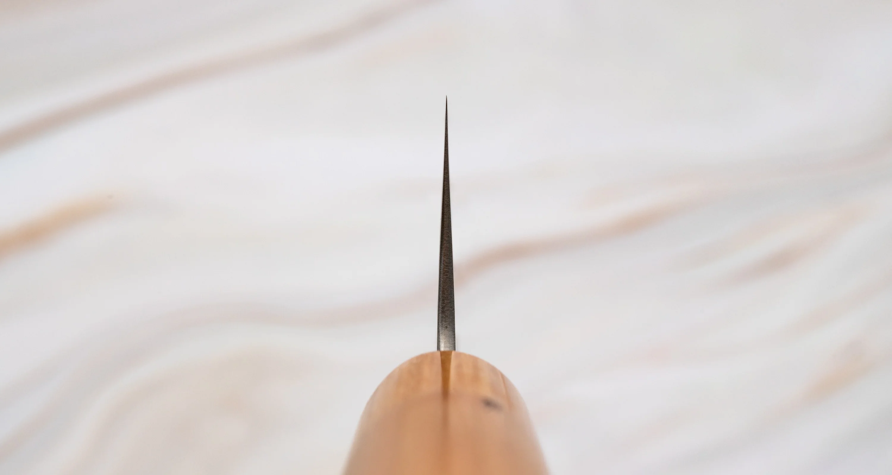 Tsunehisa Kiritsuke Shirogami #2 Cherry 210mm (8.3") - Image 3