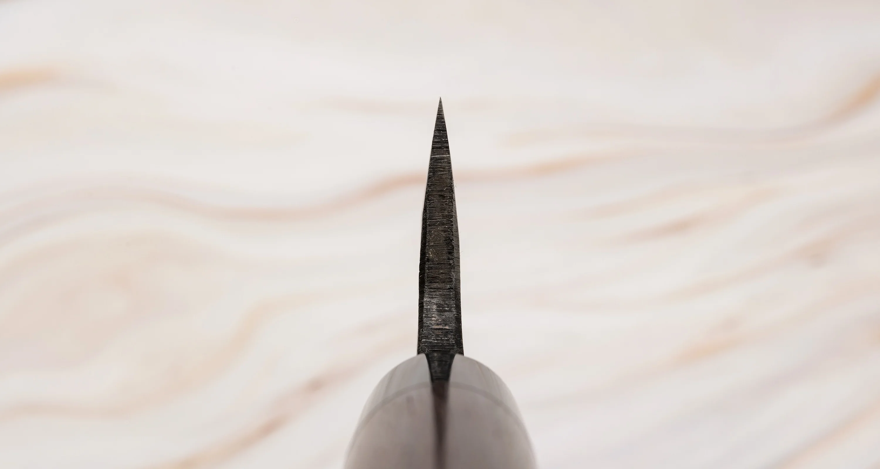 Tsunehisa Ryo-Deba Aogami #2 Kuro-uchi 180mm (7.1") - Image 3