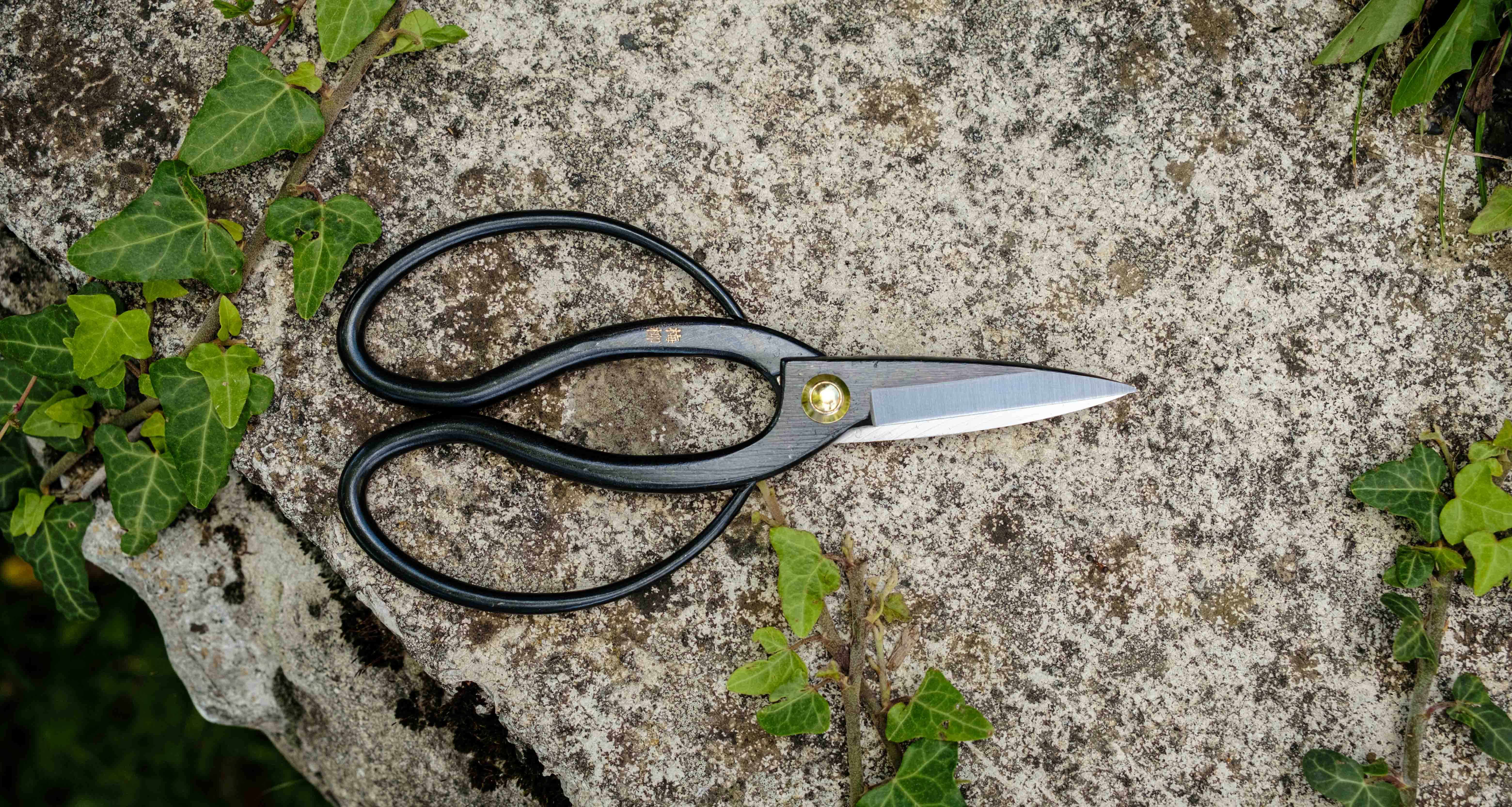 Tsurumaki Bairyu Long Blade Bonsai Okubo Scissors 200mm (7.9") - Image 6