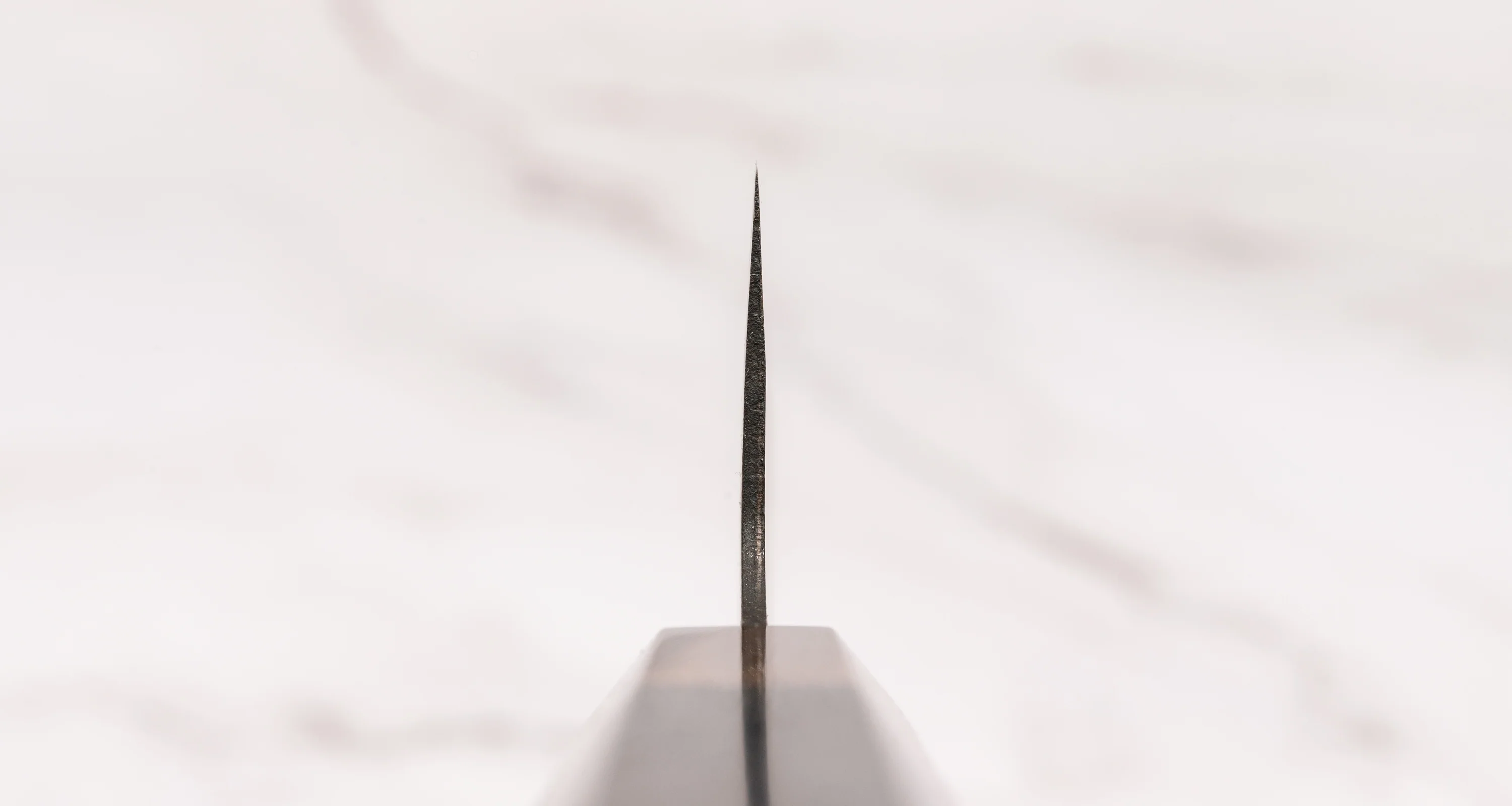 Yoshida Gyuto SUJ-2 Kuro-uchi 210mm (8.3") [Koi Fish] - Image 3