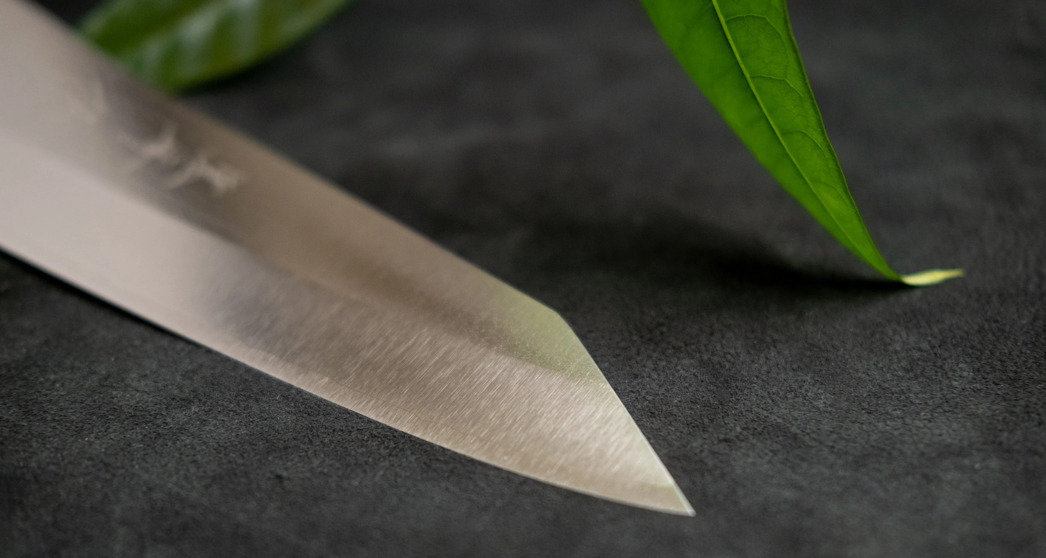 Yu Kurosaki Bunka Gekko VG-XEOS Migaki 170mm (6.7") - Image 5