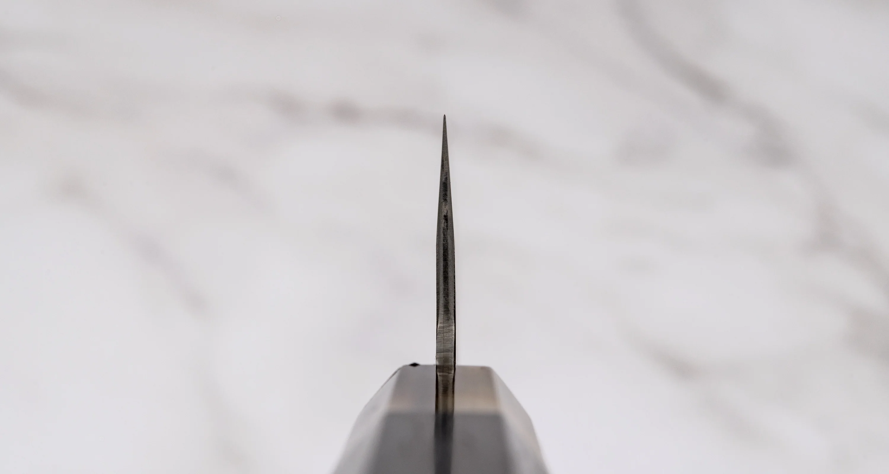 ZDP-189 Gyuto Black Ebony Blond Buffalo 210mm (8.3") - Image 2