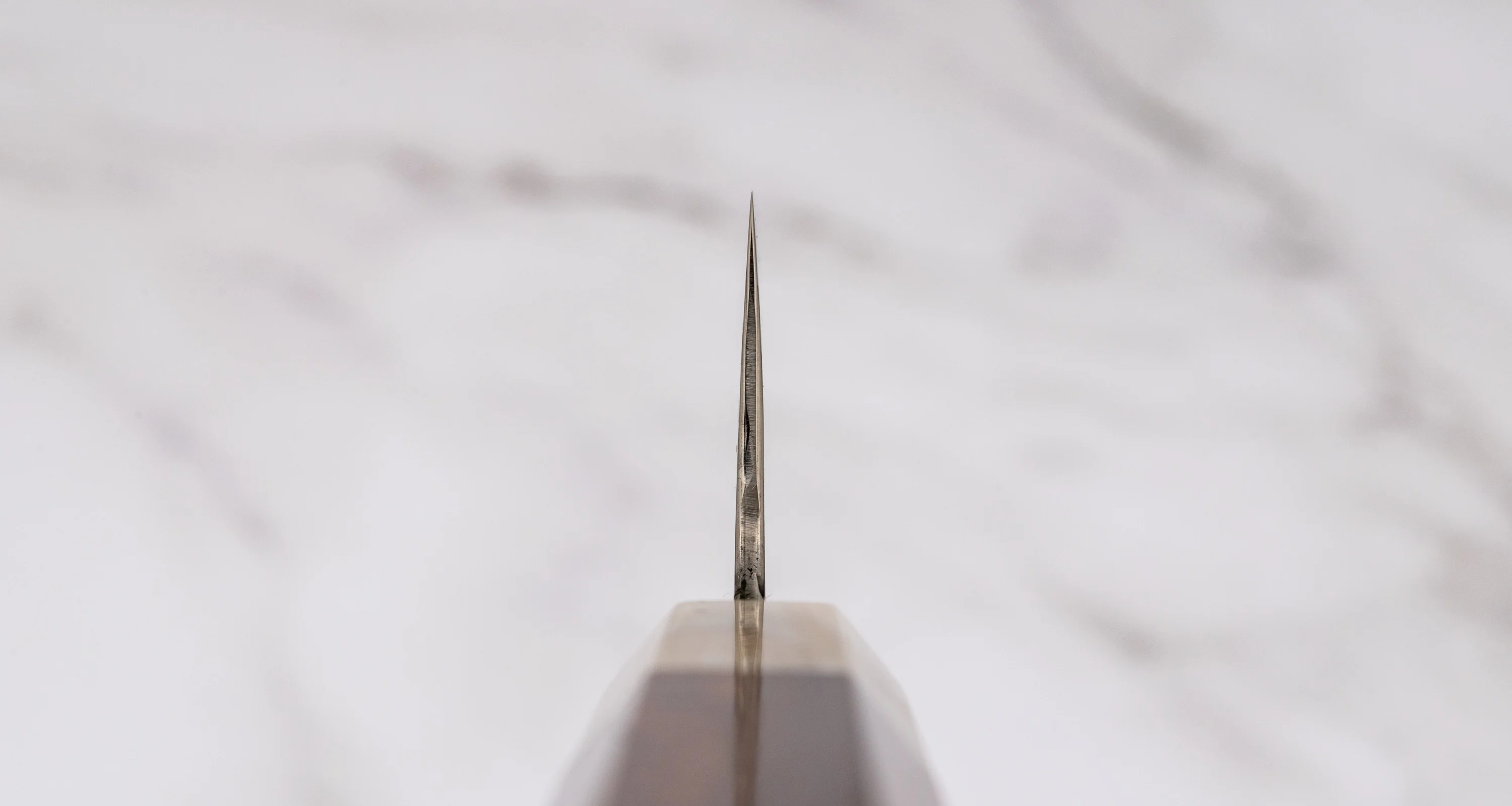 ZDP-189 Gyuto Damascus Snake Blond Buffalo 240mm (9.4") [limited] - Image 3