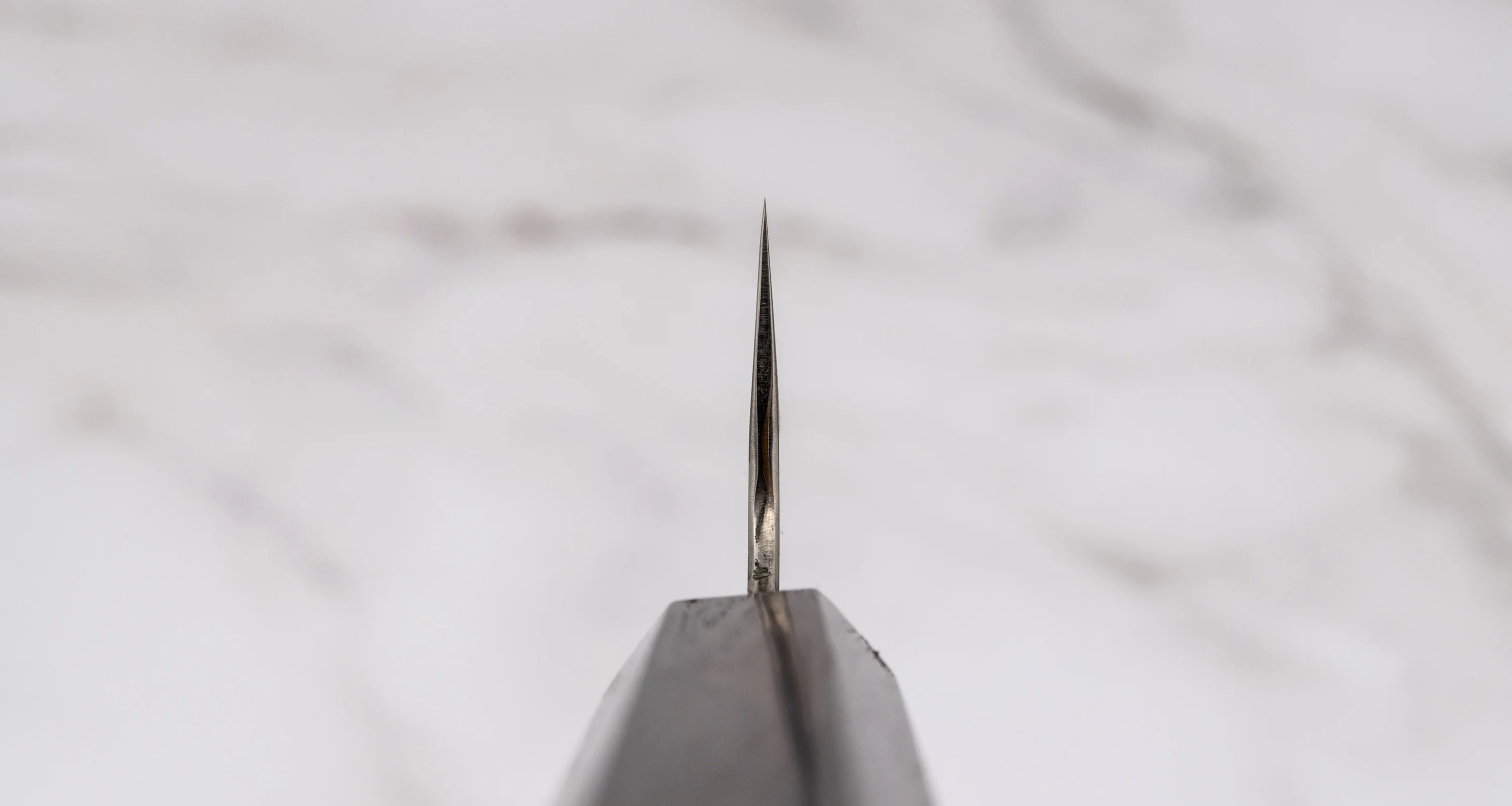 ZDP-189 Gyuto Silver Ebony 210mm (8.3") - Image 3